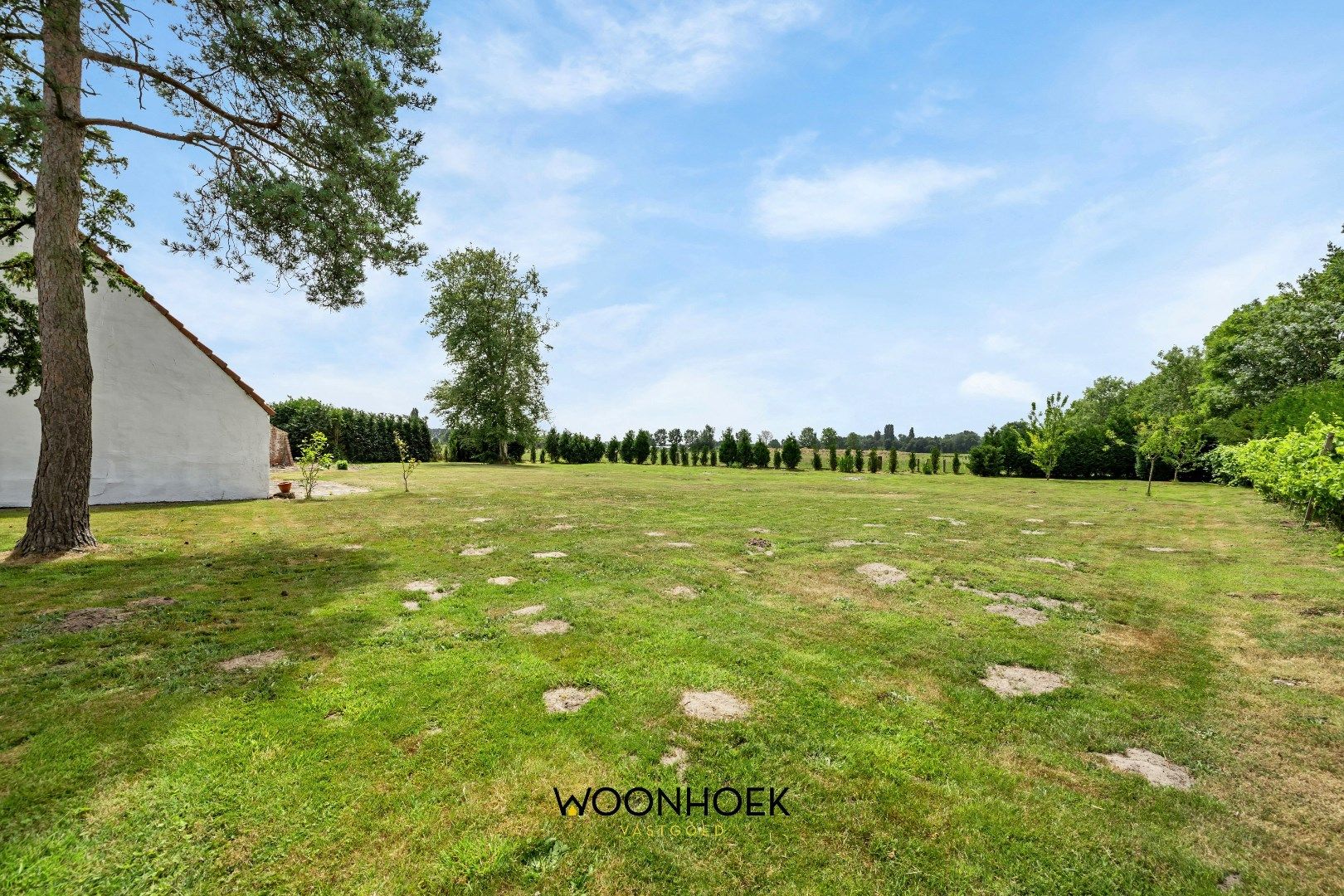 Woning met 2 magazijnen op uniek perceel! foto 4