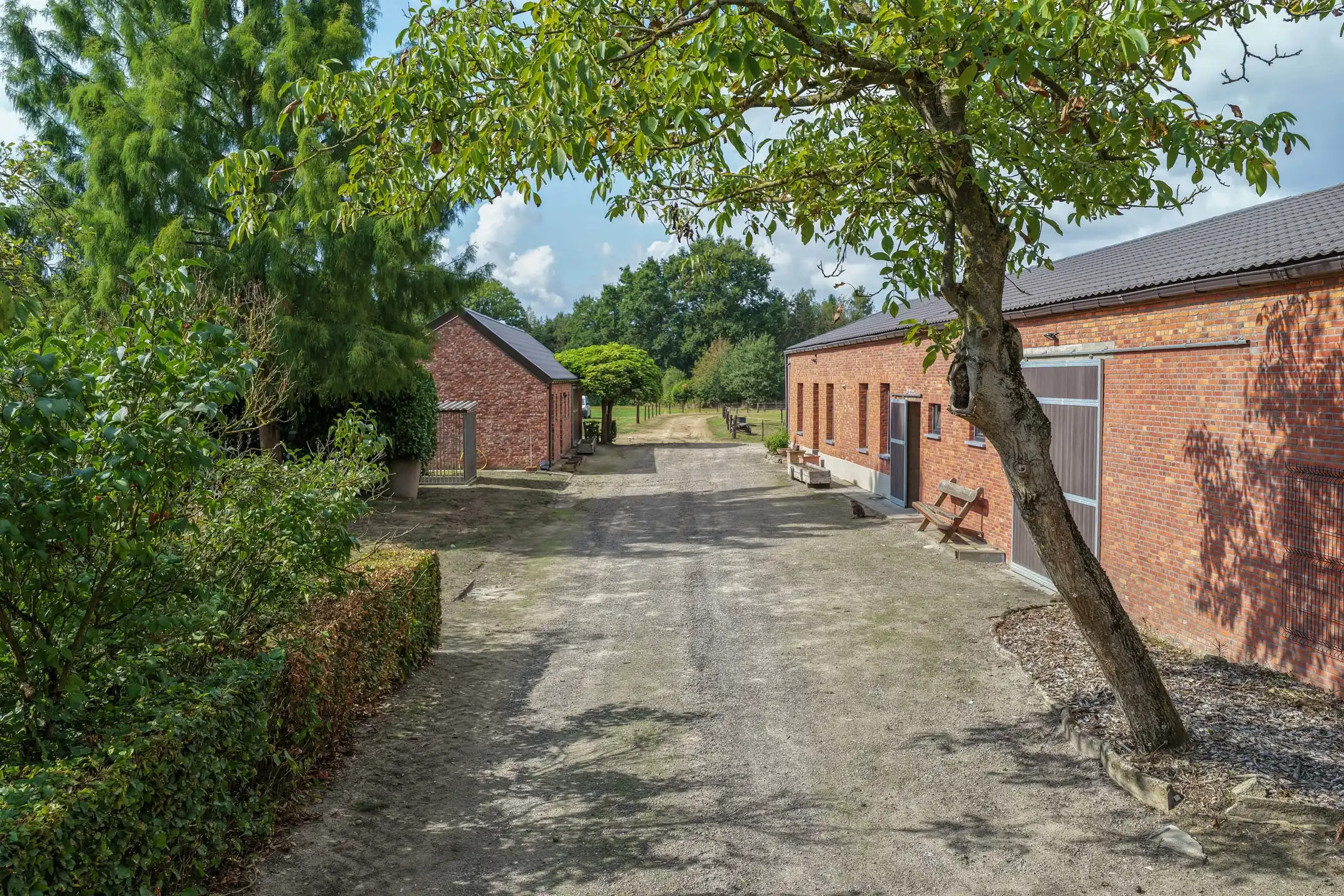 Unieke hoeve op een domein van maar liefst 8,56 Ha foto 15