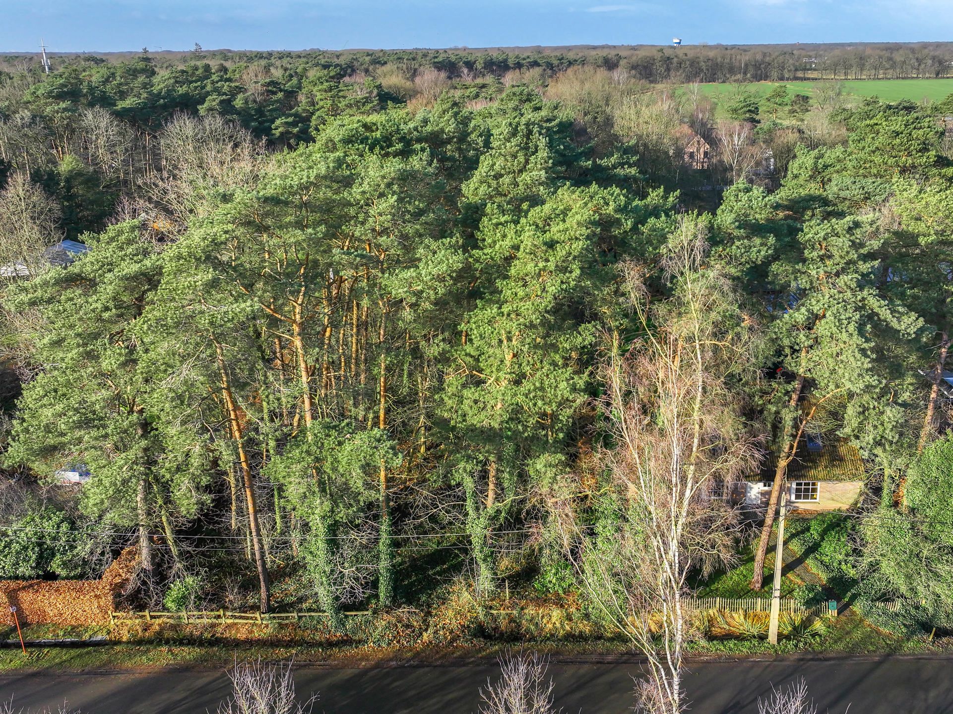 Uniek gelegen bouwgrond op 2.110m² nabij Zoerselbos foto {{pictureIndex}}