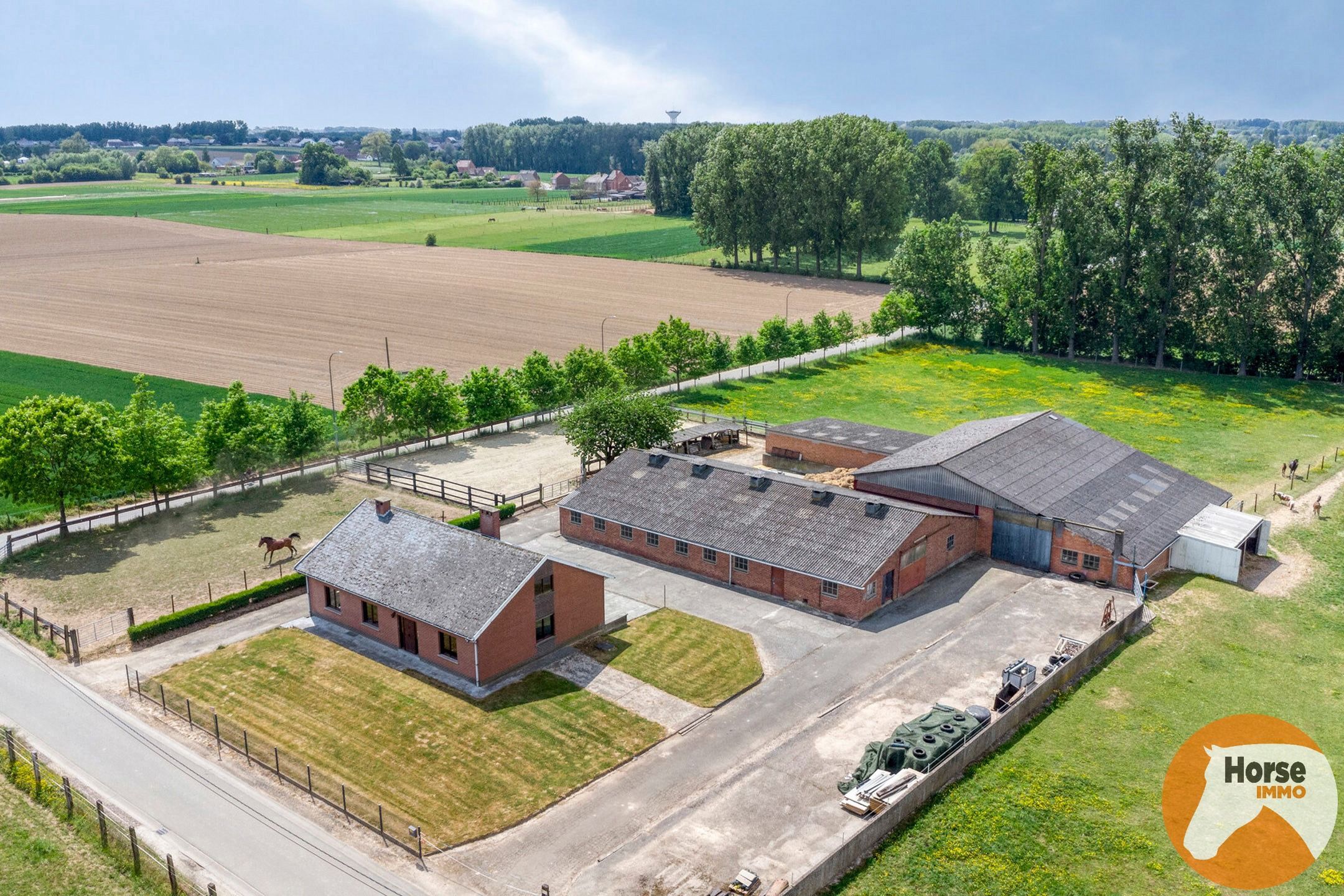 WOUBRECHTEGEM - Charmante woning met 2 loodsen op 1,61 ha  foto 34