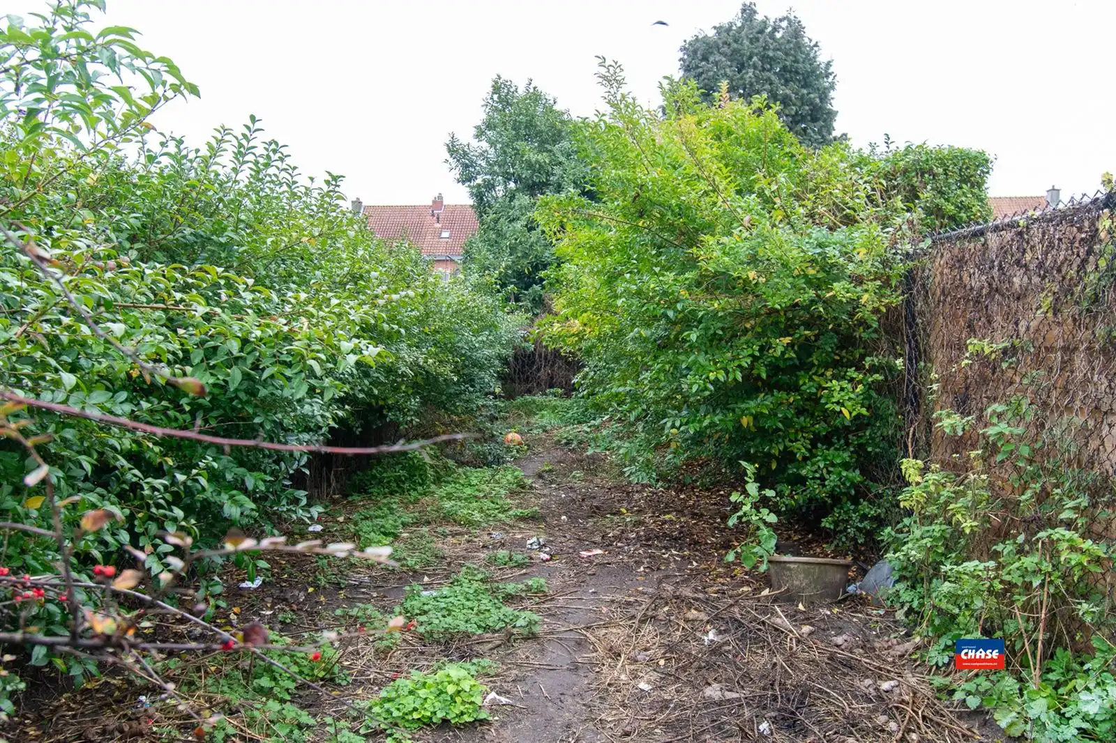 Te renoveren woning met 2 slpks en tuin  foto 7