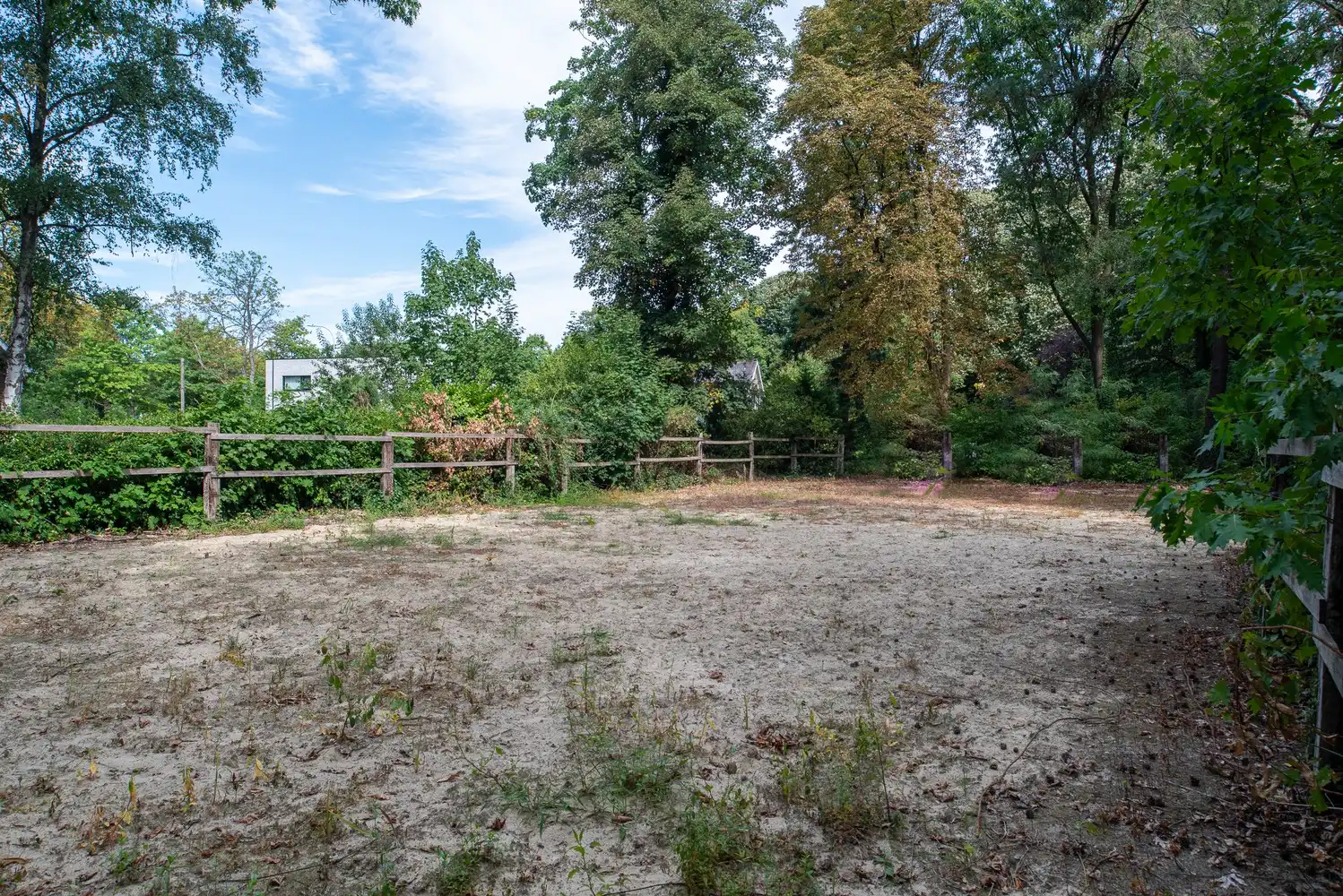 Prachtige directeurswoning met parktuin van 1,57 ha! foto 11