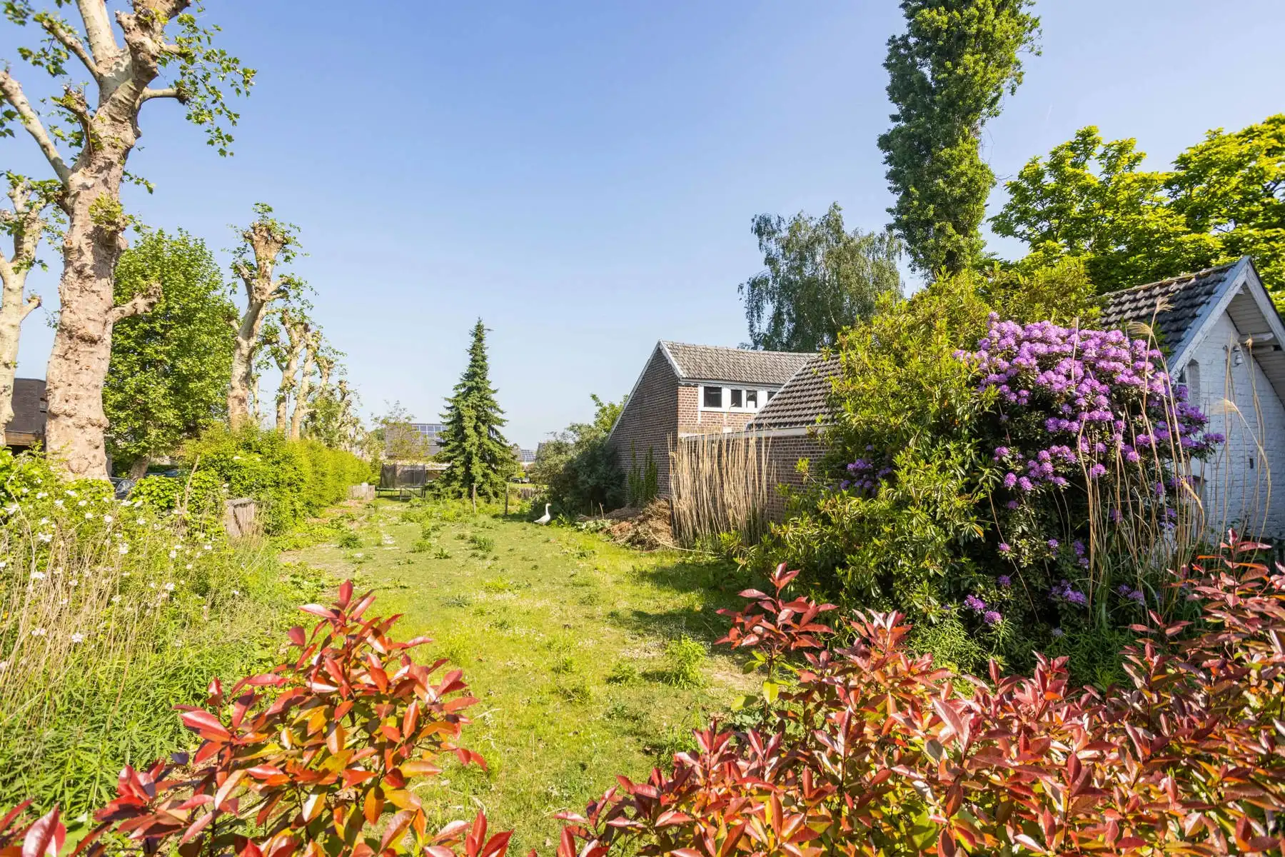 Kantoor te koop foto 29