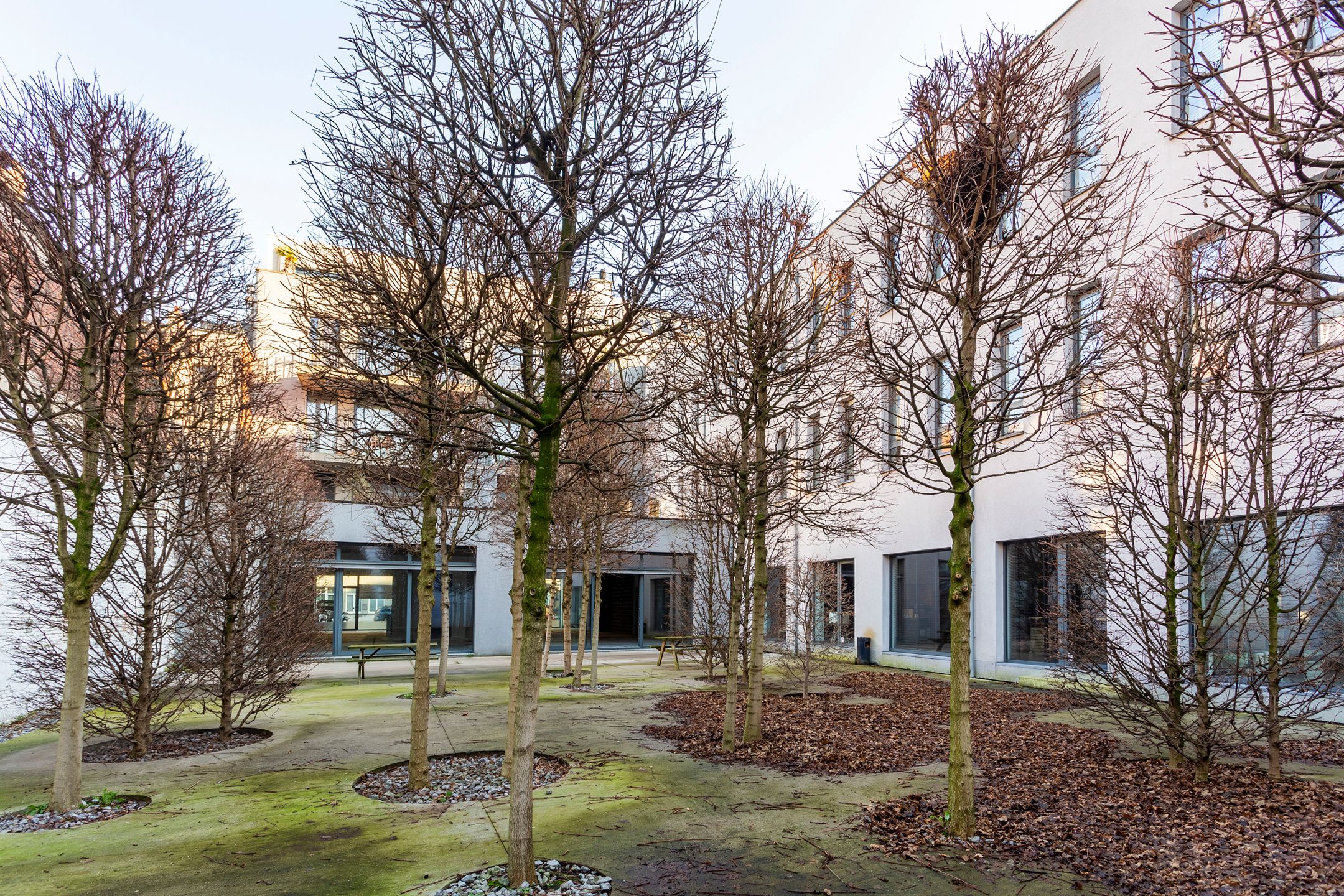 polyvalente handelsruimte van ca 375 m² aan het Willemdok foto 15