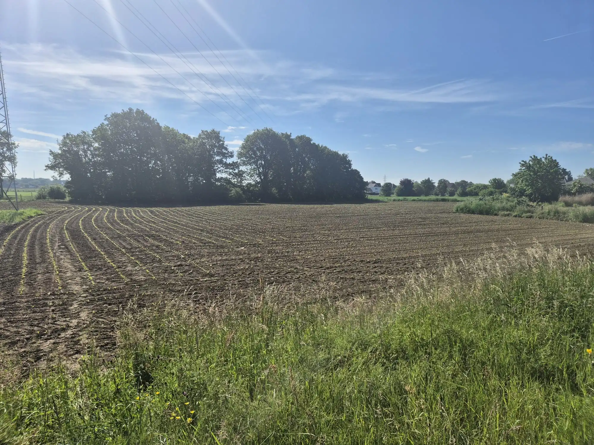 Grond te koop Rijksweg 27 - - 3630 Maasmechelen
