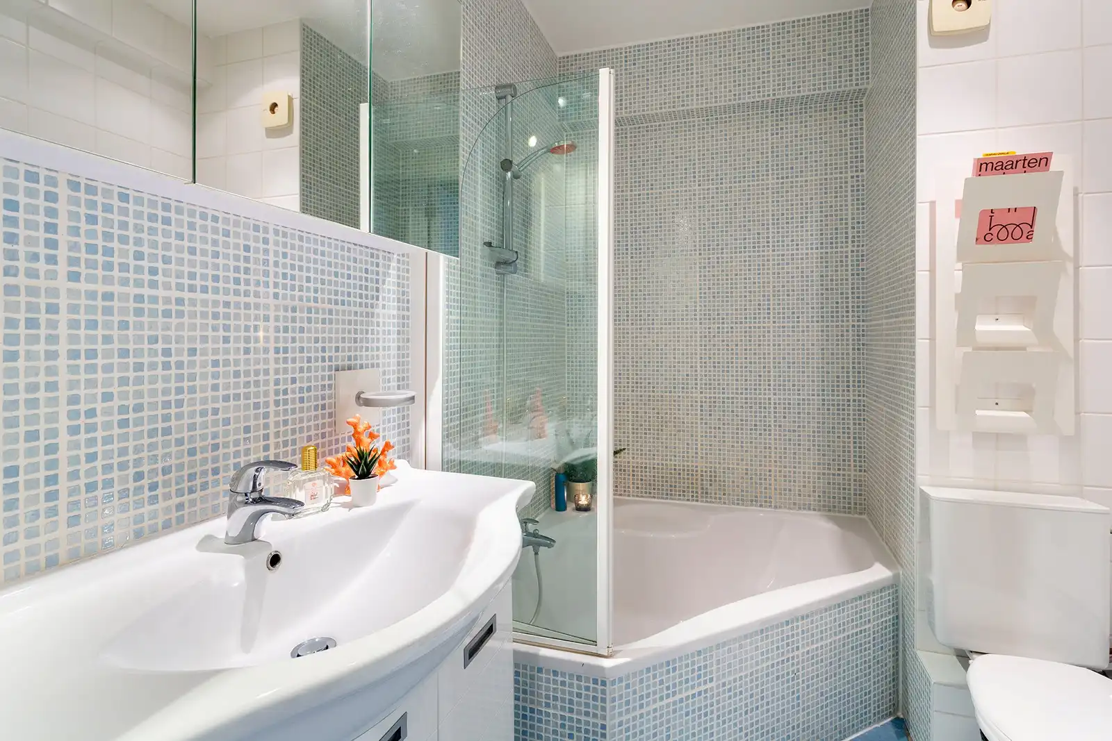 Instapklare studio met loftgevoel en zonneterras foto 17