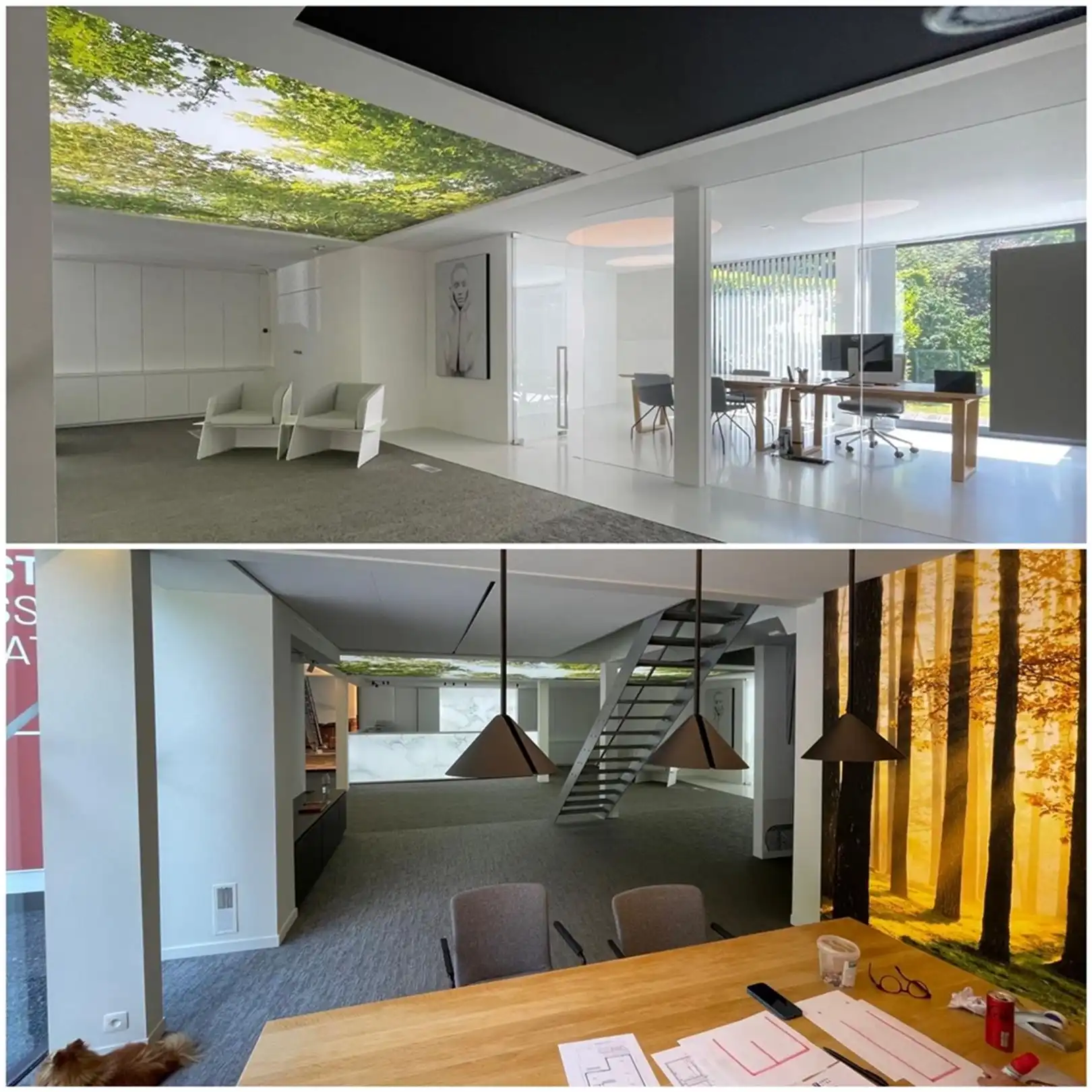 Kantoorgebouw foto 33