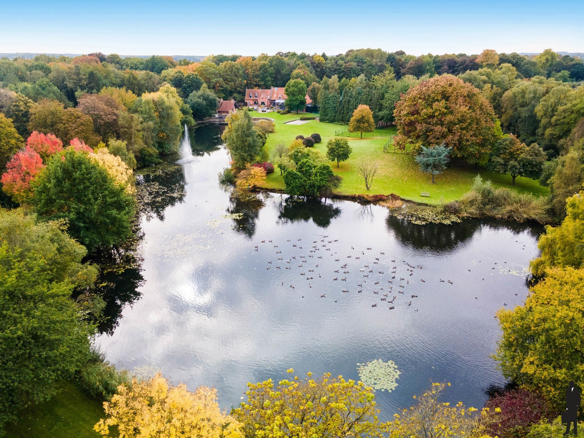 Kasteelhoeve op een landdomein van ca 6ha. foto 66