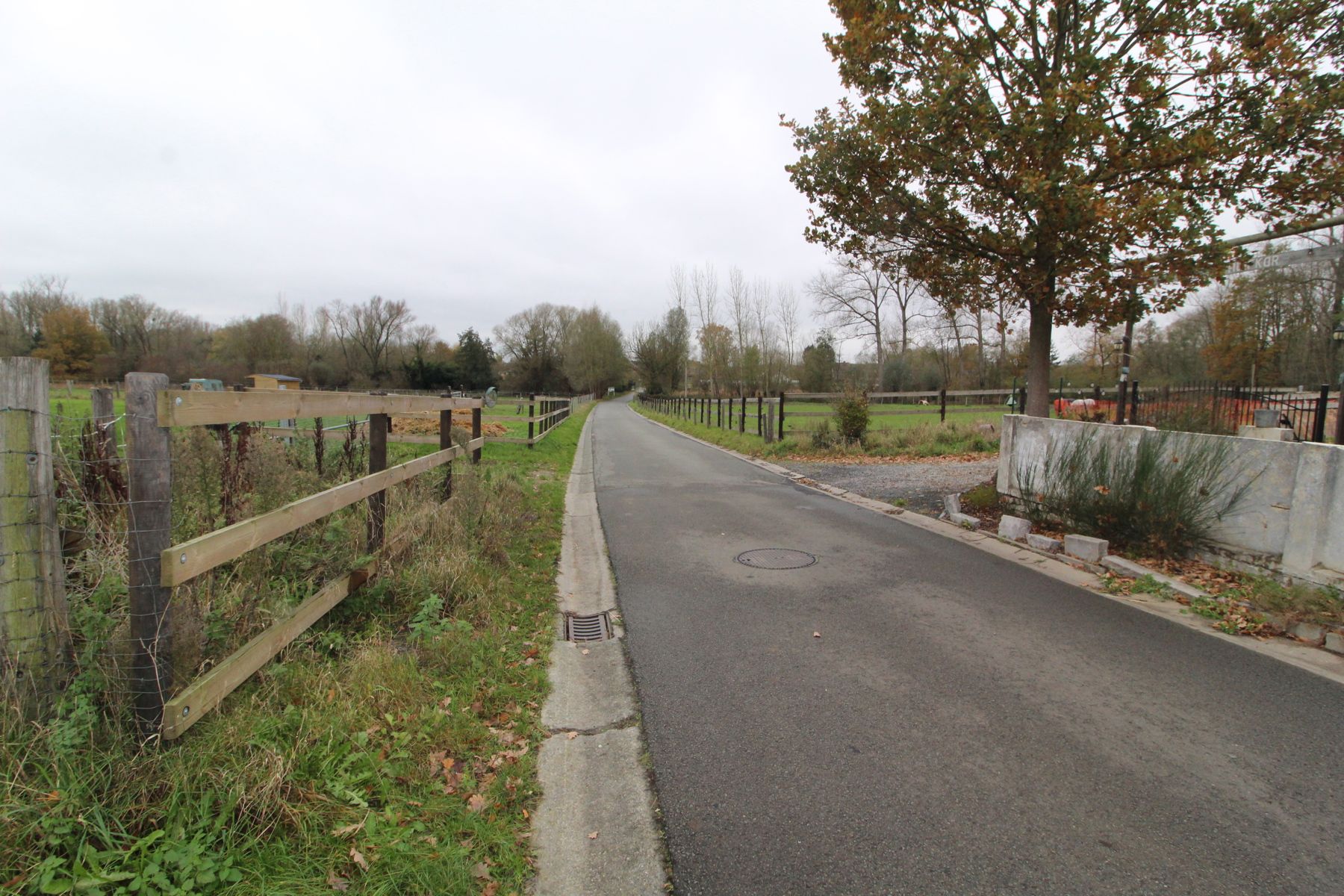 Asbeek: achtergelegen weide  foto 2