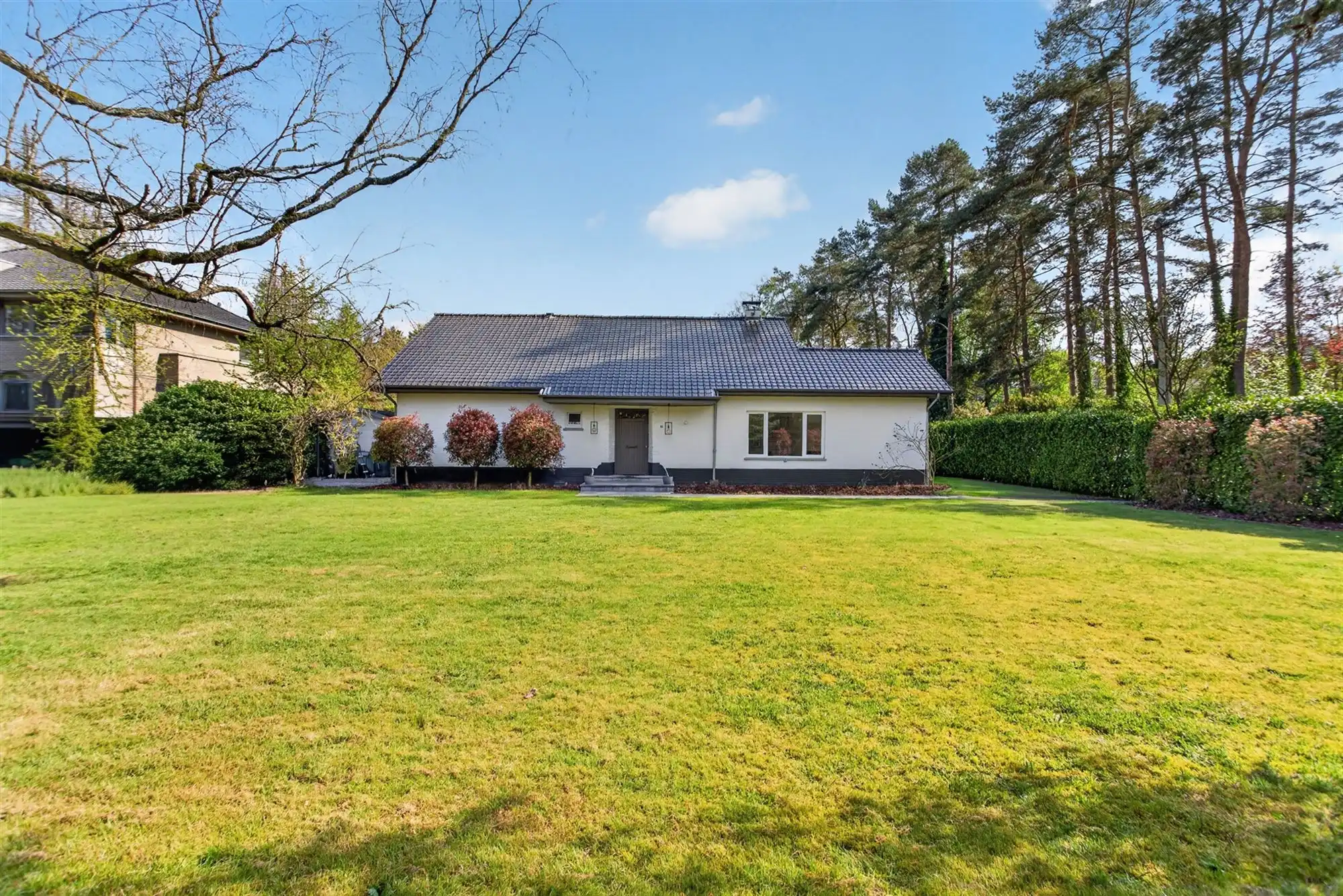 Ruime villa met zuidgerichte tuin en maximale privacy foto 3