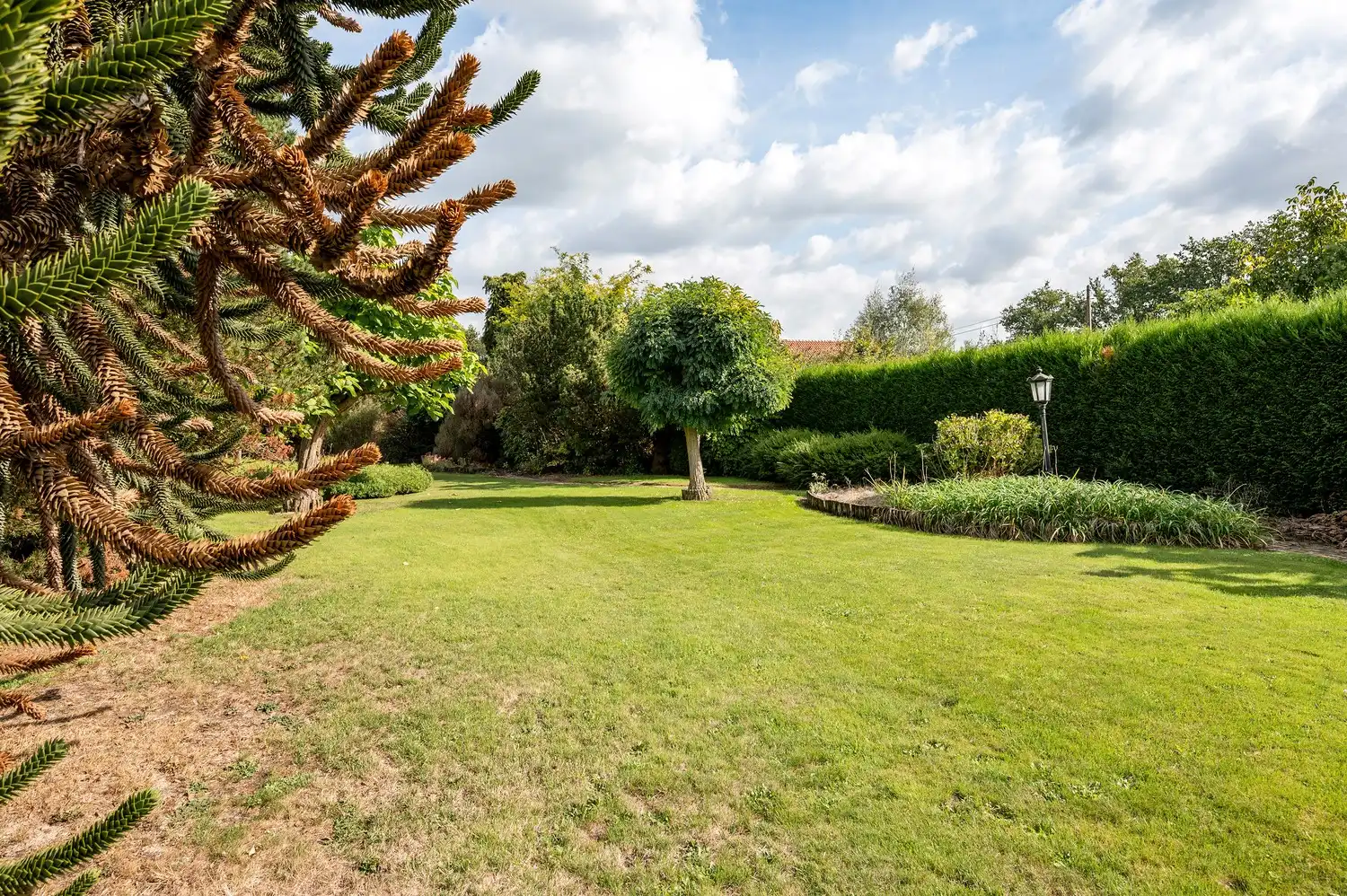 Laagbouwwoning op prachtig perceel van 2196m² foto 32