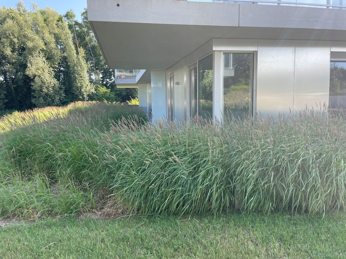 Twee-slaapkamer GELIJKVLOERS nieuwbouw hoekappartement + terras foto 5