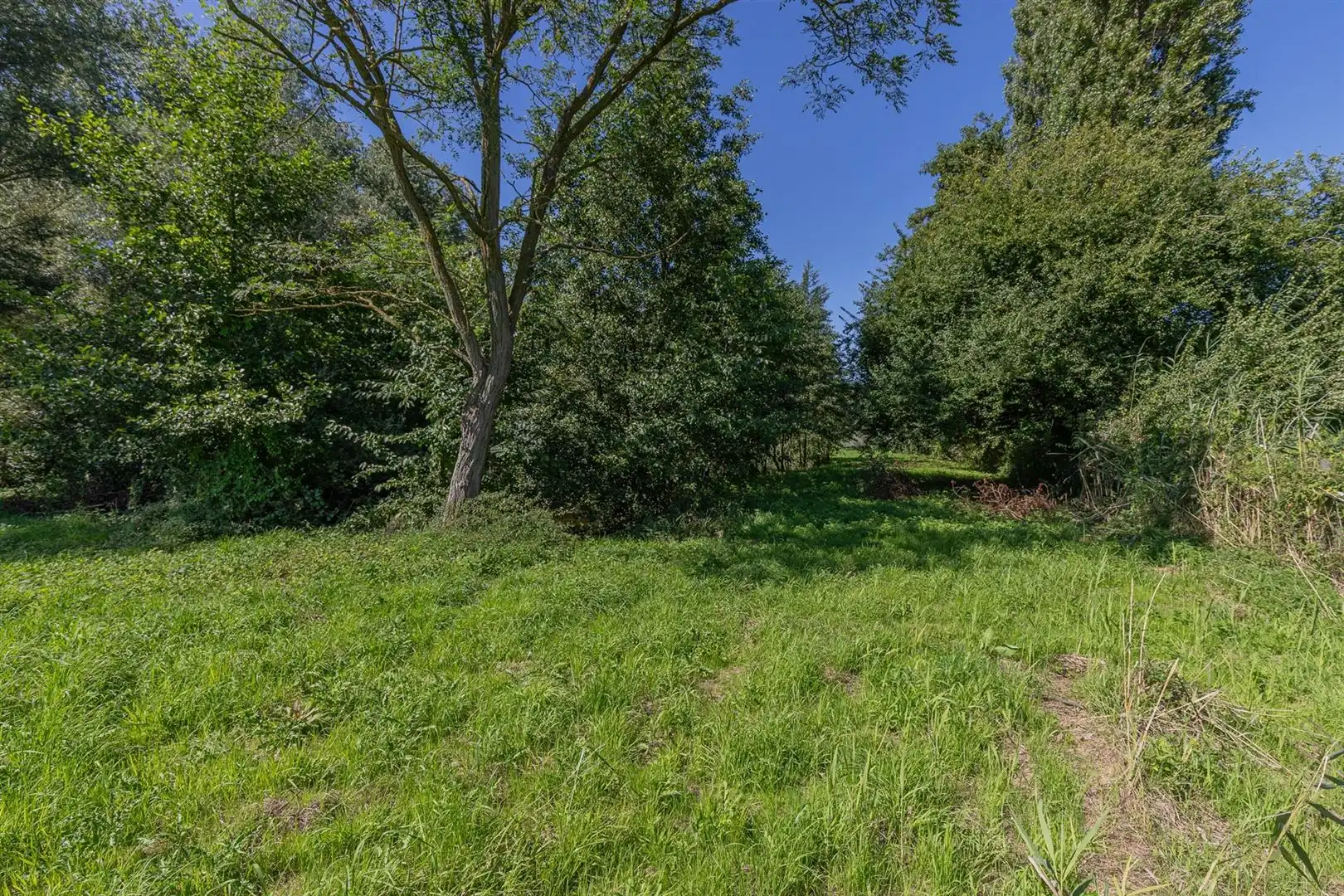 Exclusieve bouwgrond te koop Sint-Onolfsdijk, Dendermonde foto 11