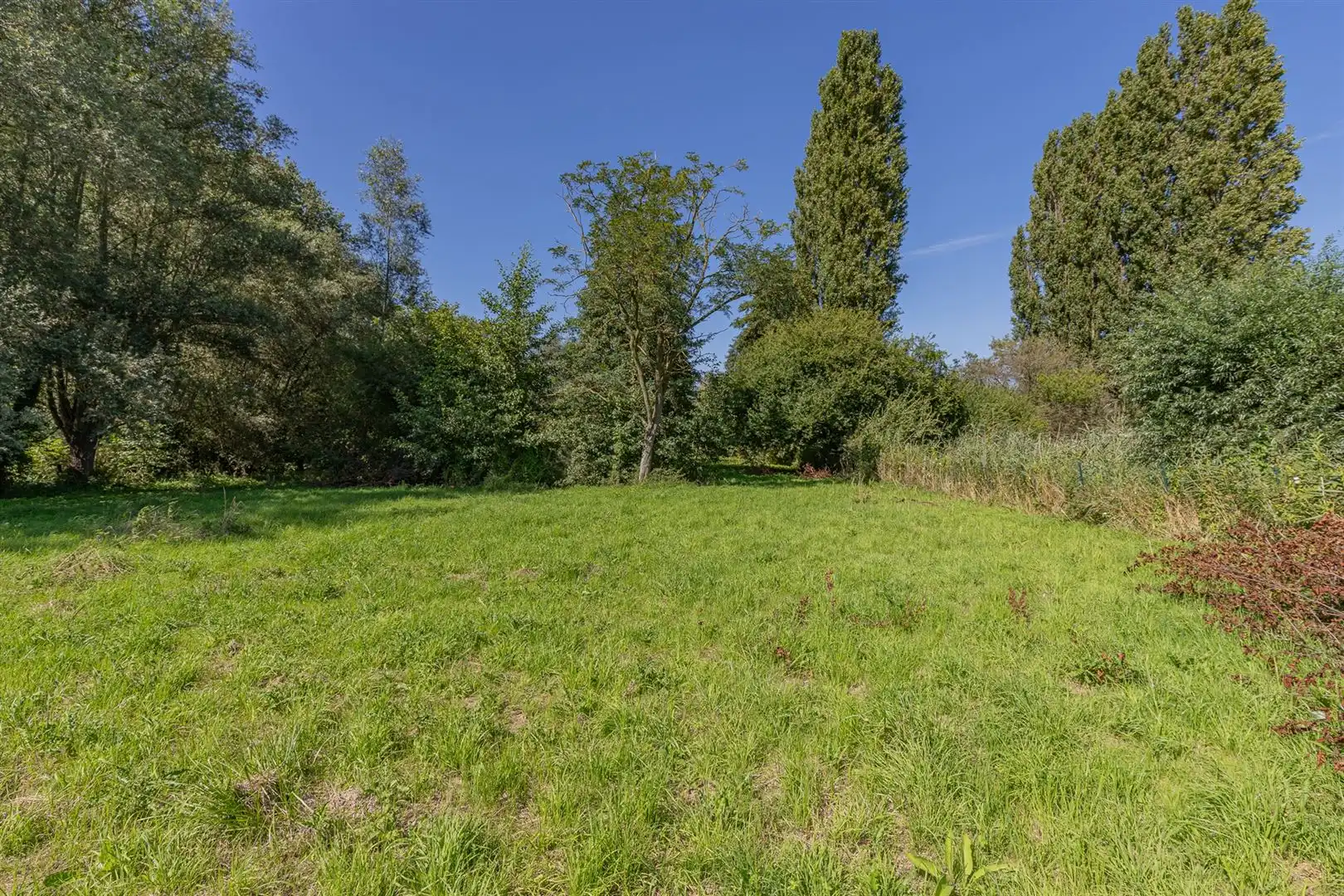 Exclusieve bouwgrond te koop Sint-Onolfsdijk, Dendermonde foto 11