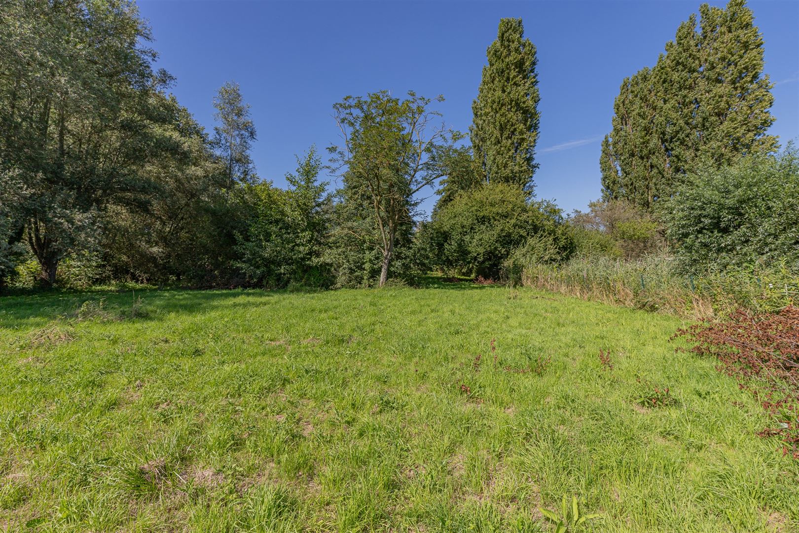 Exclusieve bouwgrond te koop Sint-Onolfsdijk, Dendermonde foto 11