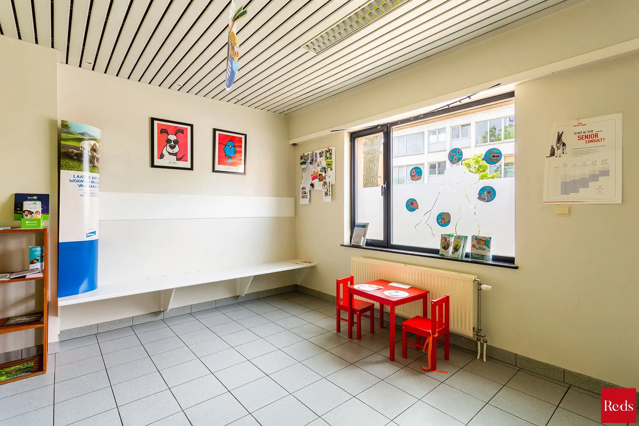 Ruim handelsgelijkvloers op toplocatie te Hove centrum foto 2