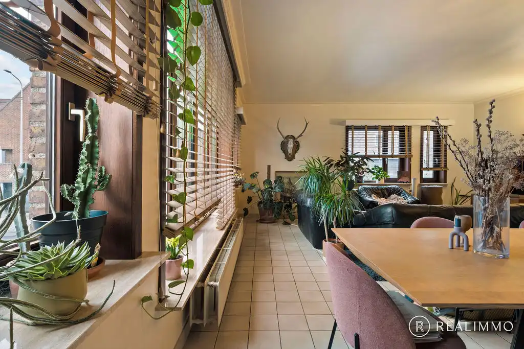 Ruime, lichtrijke woonst met 3 slaapkamers en garage foto 4