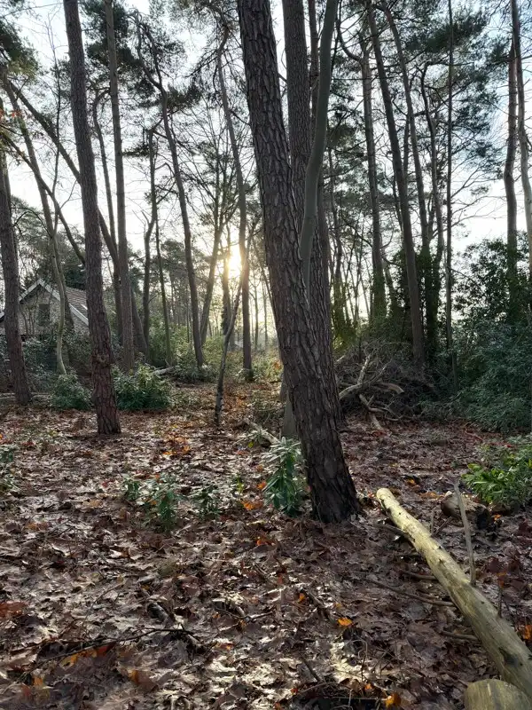 Grond te koop foto 2