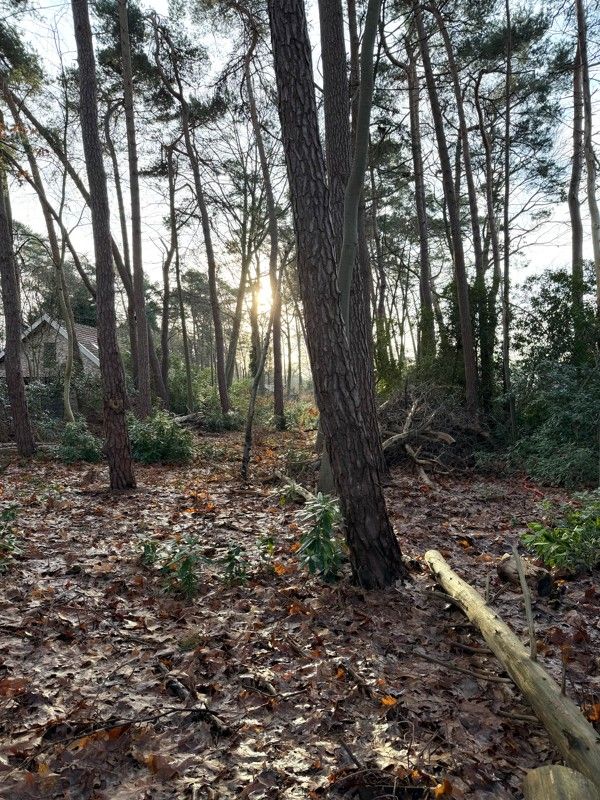 Grond te koop foto 2