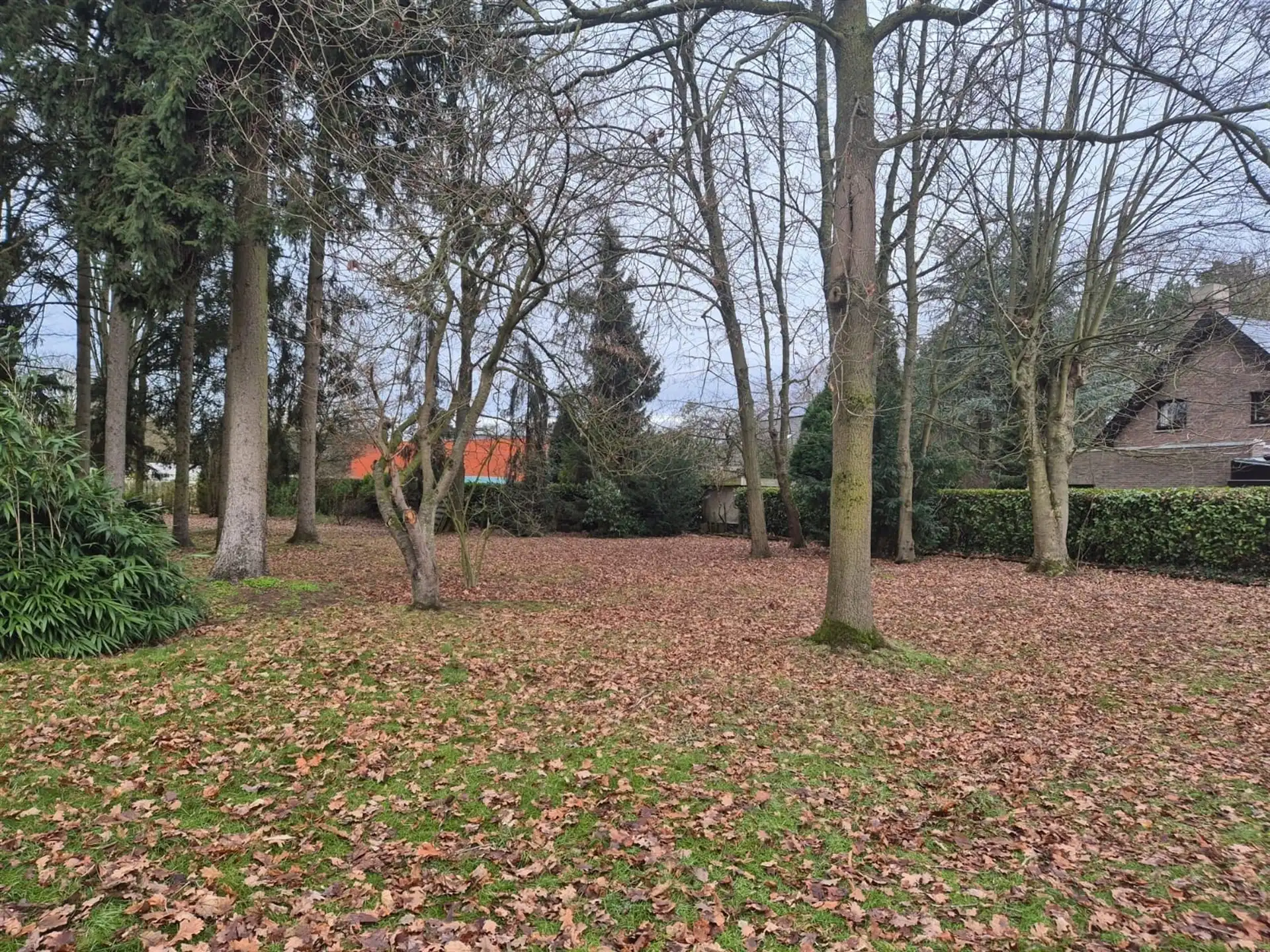 Ruime woning met 3 slaapkamers gelegen in een groene omgeving. foto 28