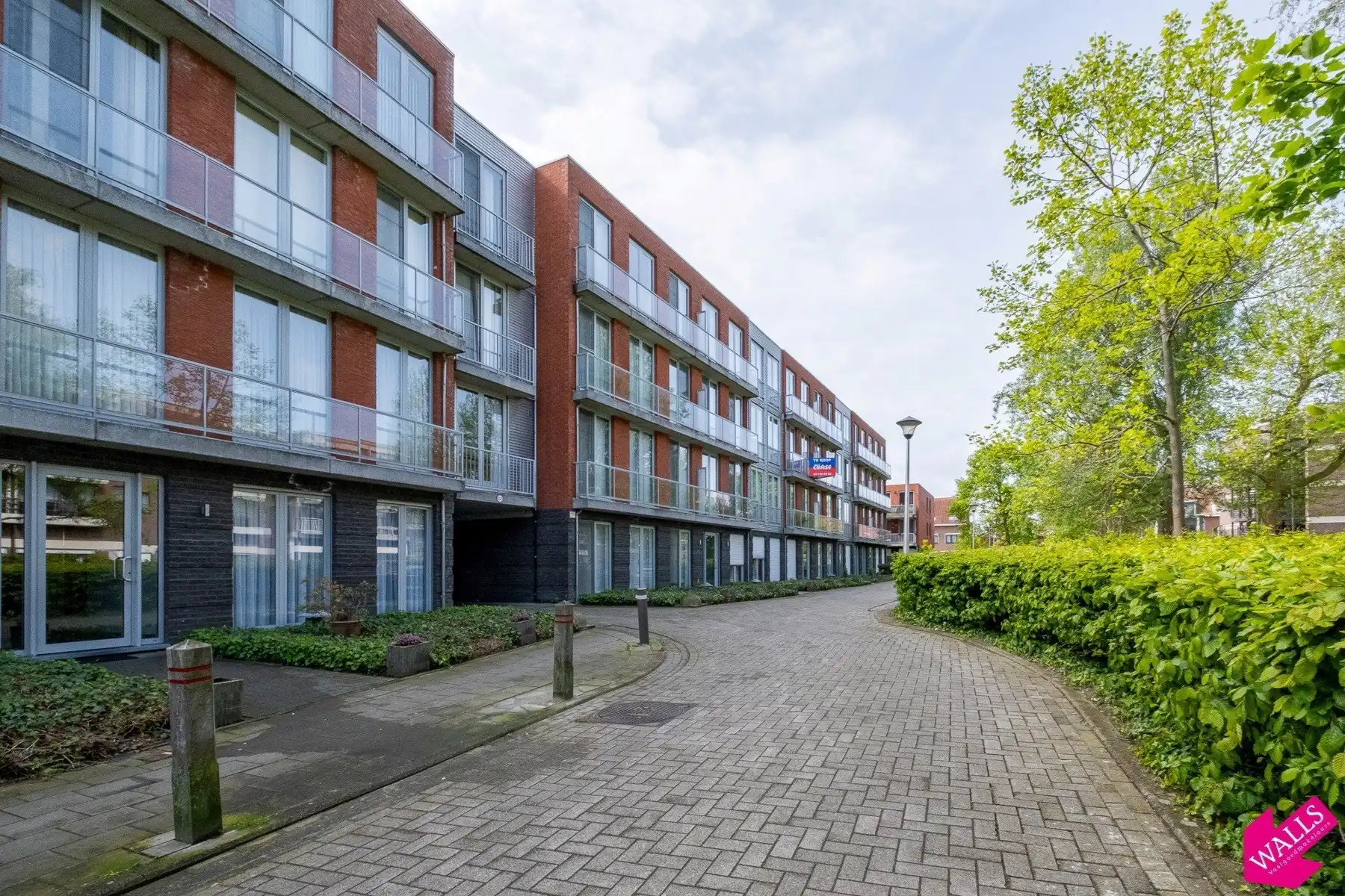 Te koop: kelderberging foto 3