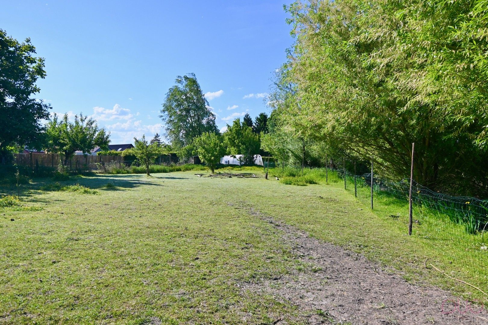 Knusse fermette met weilanden en paardenstallen, op een perceel van 70 are in Sint-Truiden foto 7