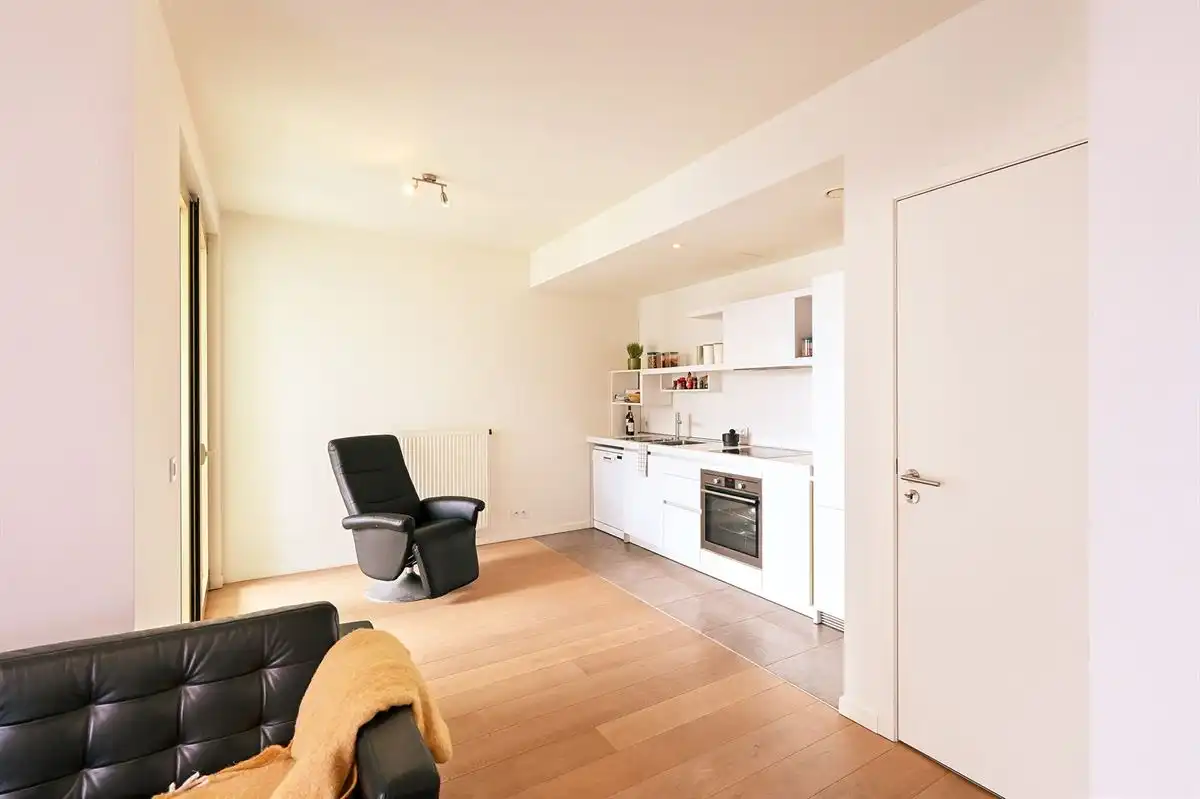 Lichtrijk appartement met terras op het Eilandje foto 14