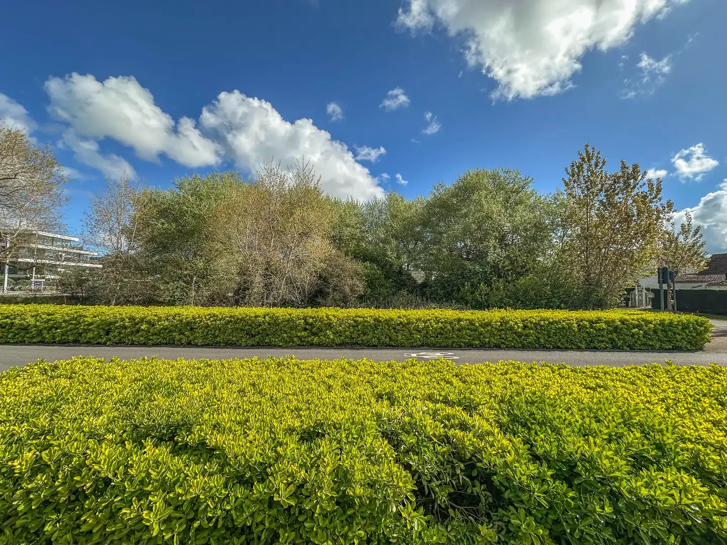 Uitzonderlijke bouwgrond (1.304m²) op een steenworp van zee (Groendijk). foto 4