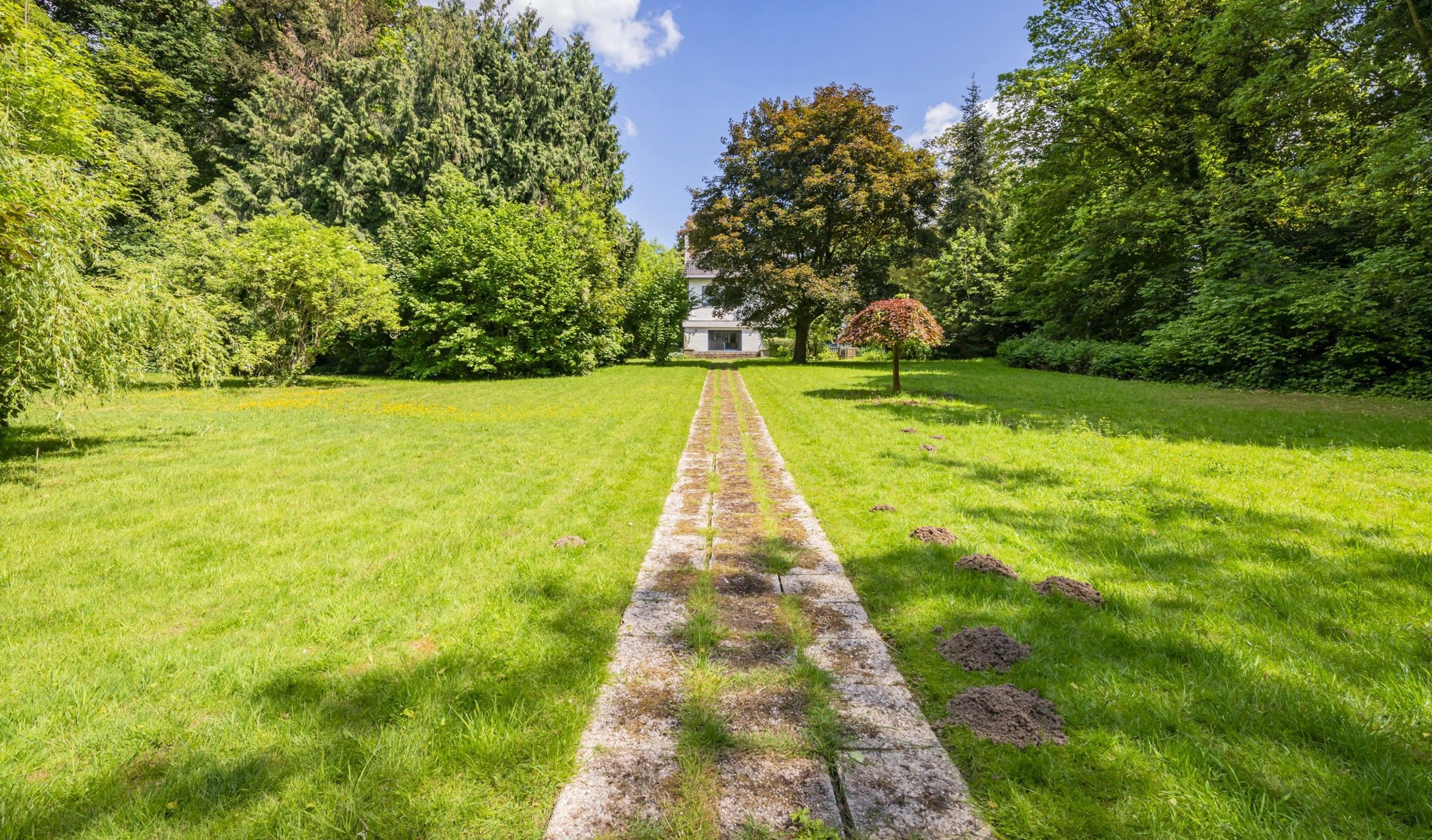 Exclusieve villa met zwembad en privédomein te Dilbeek foto 10