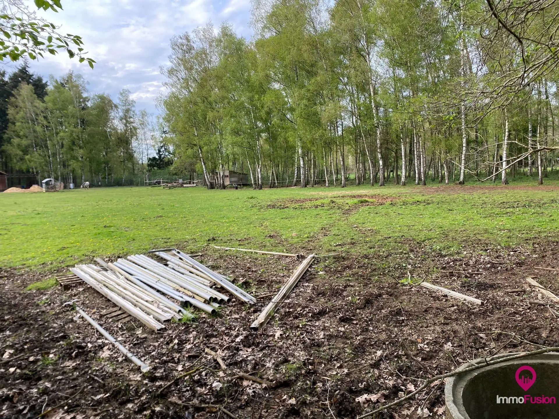 Landelijke weide voor dieren- en natuurliefhebbers! foto 2
