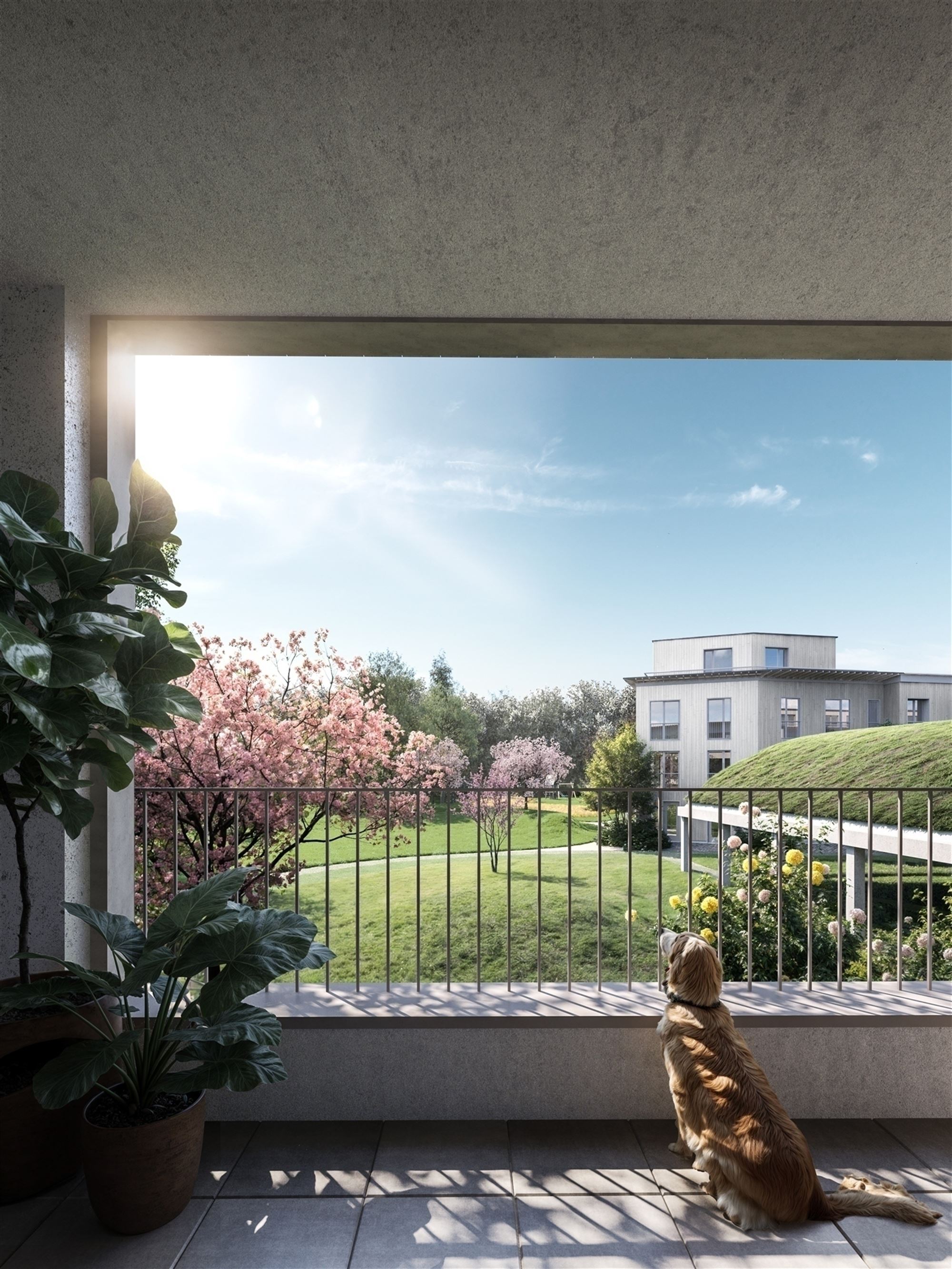 Huis met tuin en terras foto 14