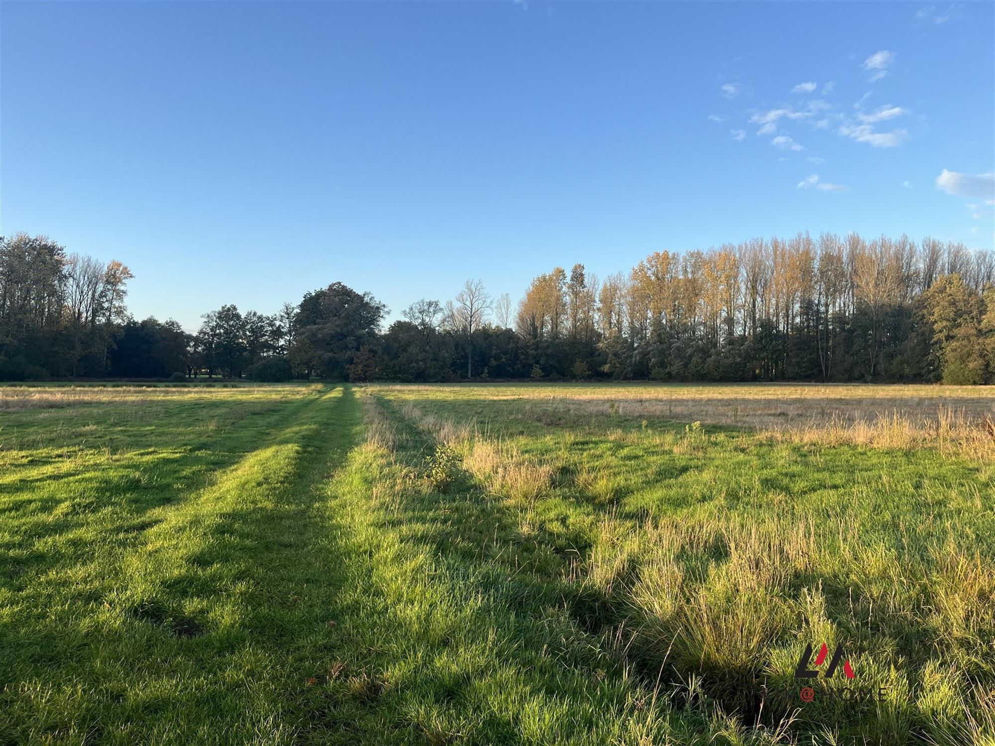 landbouwgrond - niet verpacht. foto 7