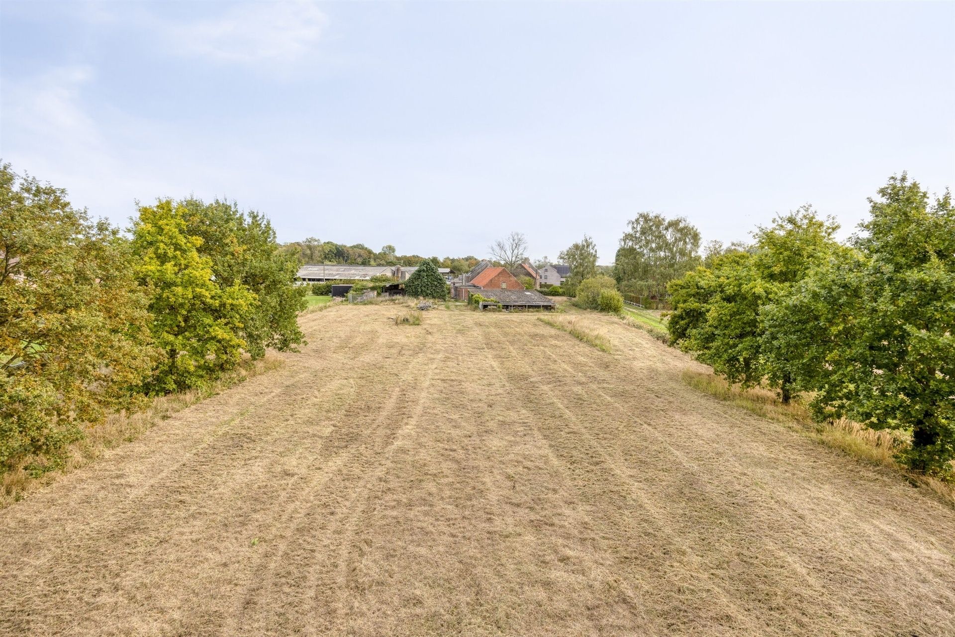Volledig te renoveren hoeve foto 13