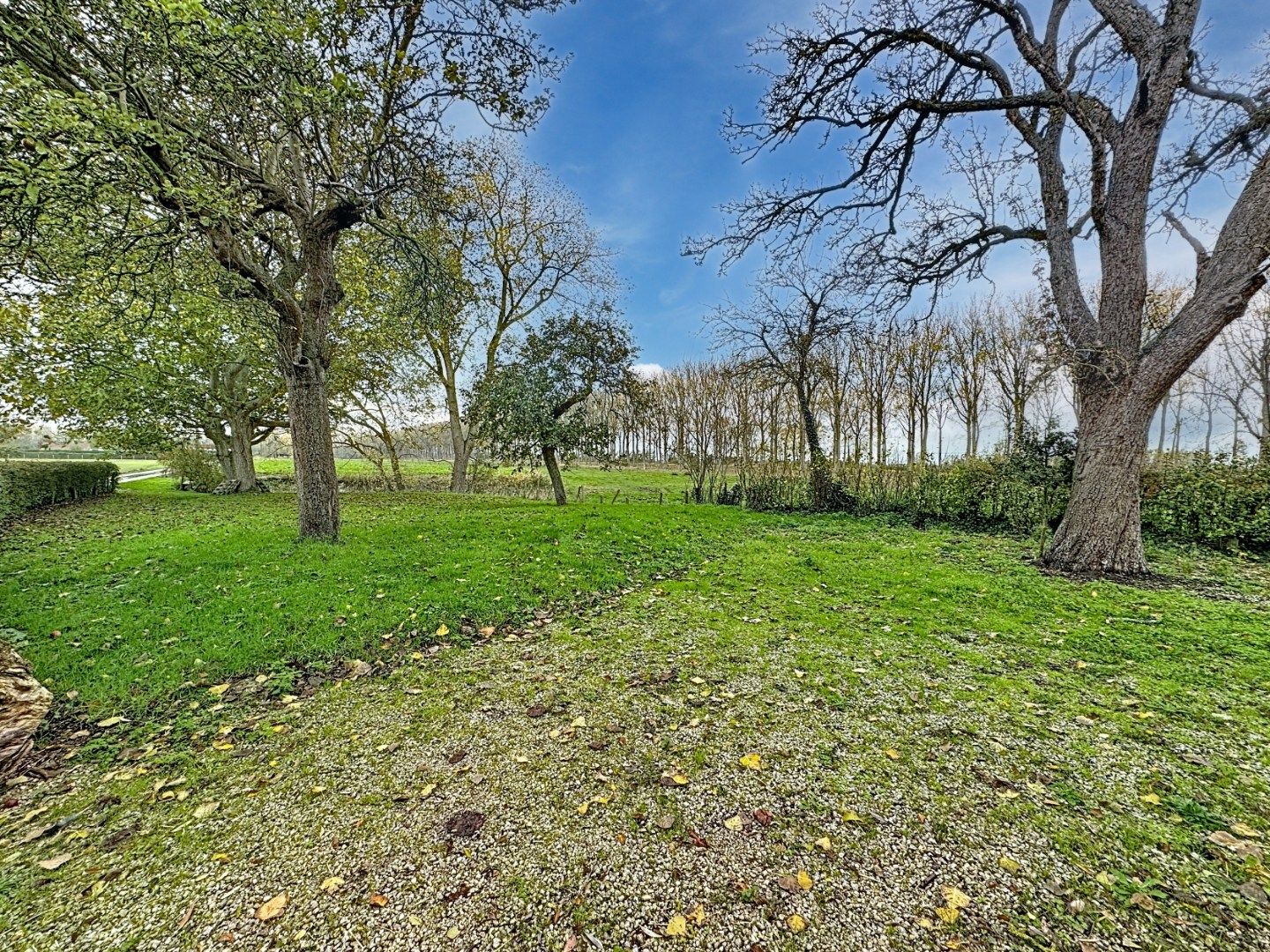 Rustig gelegen landelijke woning foto 22