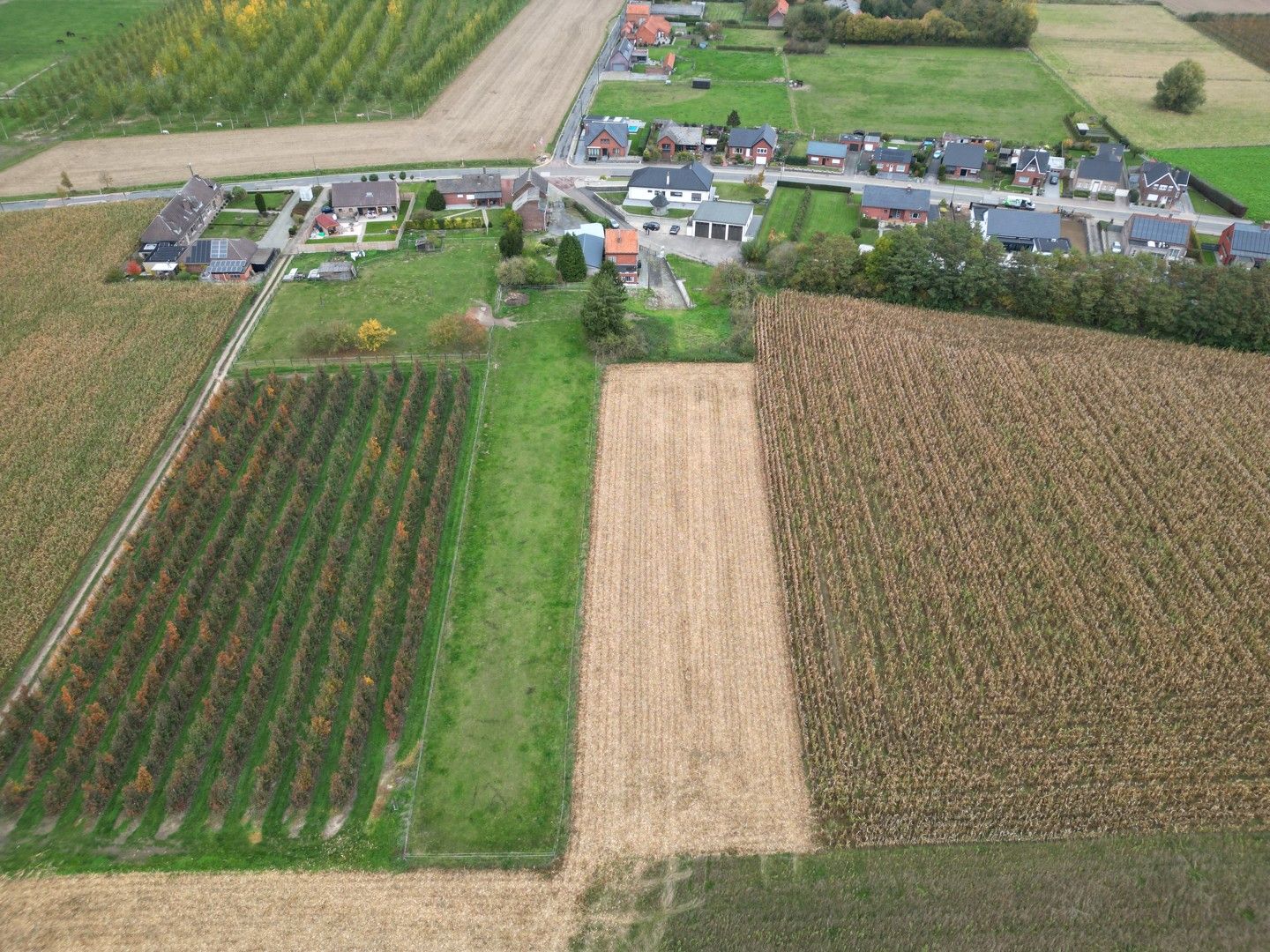 CHARMANT TE RENOVEREN GEZINSWONING OP EEN PERCEEL VAN MAAR LIEFST 37A60CA IN ZOUTLEEUW foto 2