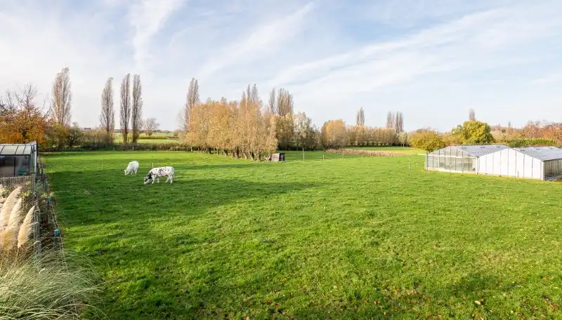 Bouwgrond voor nieuw te bouwen villa in Landegem foto 4