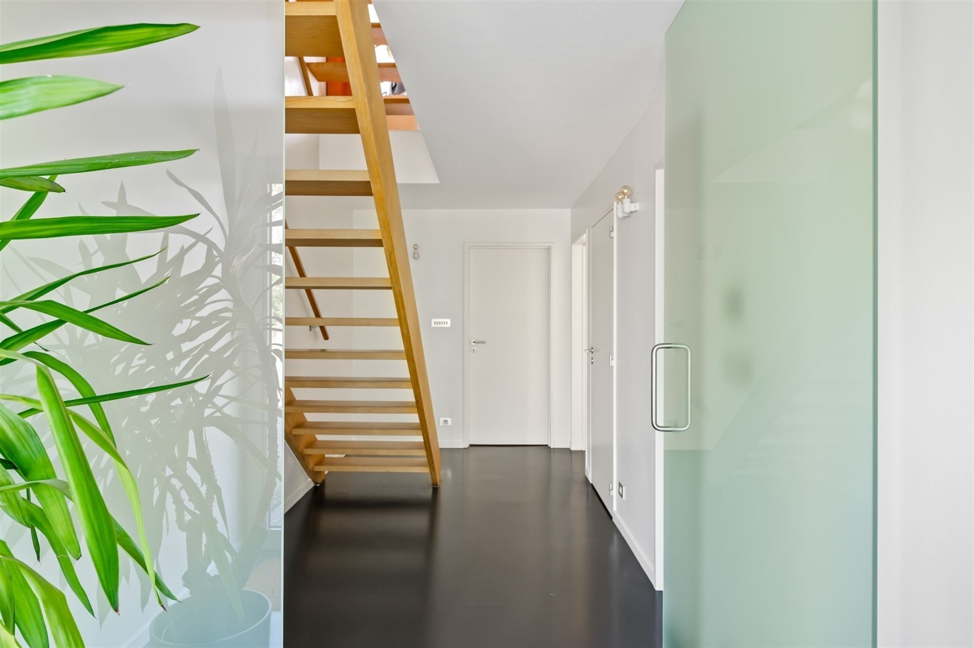 Moderne conceptwoning te Sint-Katelijne-Waver. foto 2