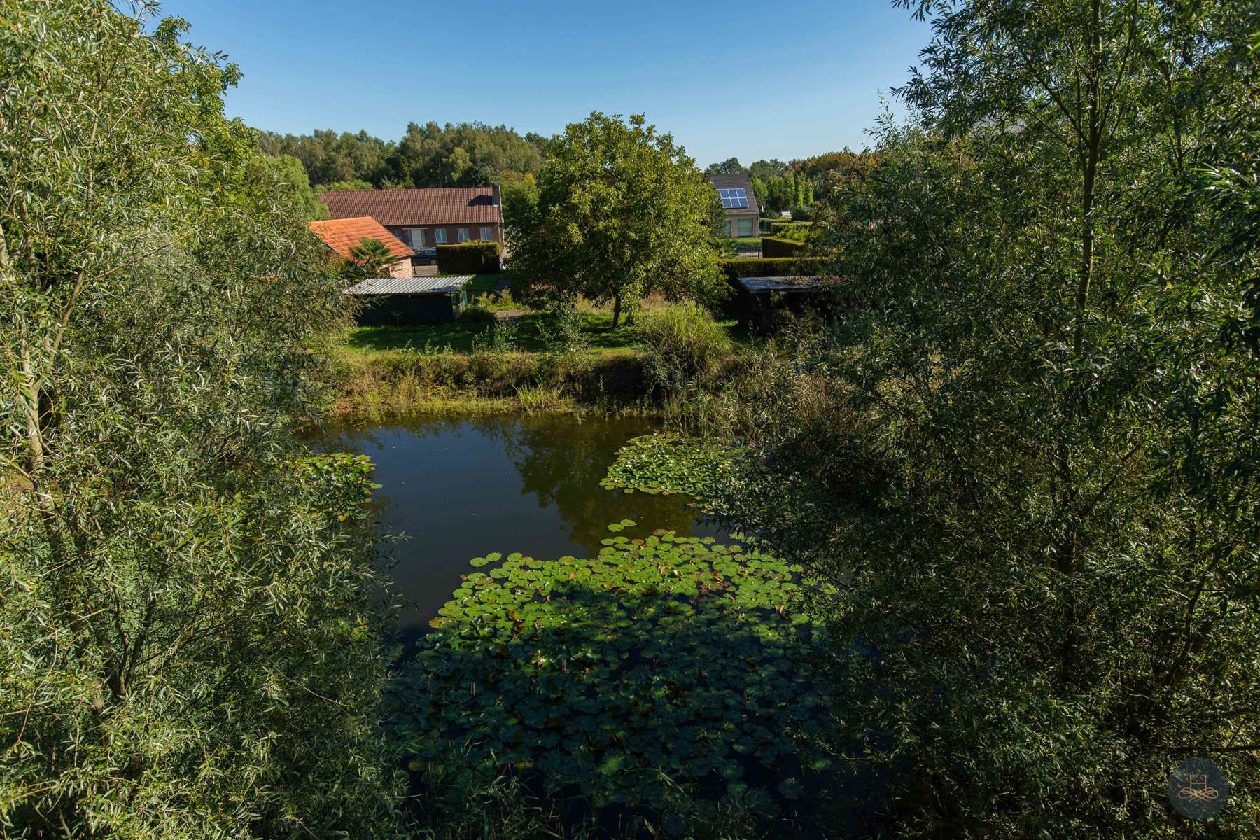 Op te frissen hoeve met natuurlijke vijver foto 5