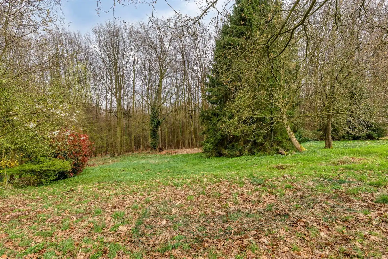 Unieke 3-gevelwoning met uitbreidingspotentieel naast het Hallerbos  foto 22