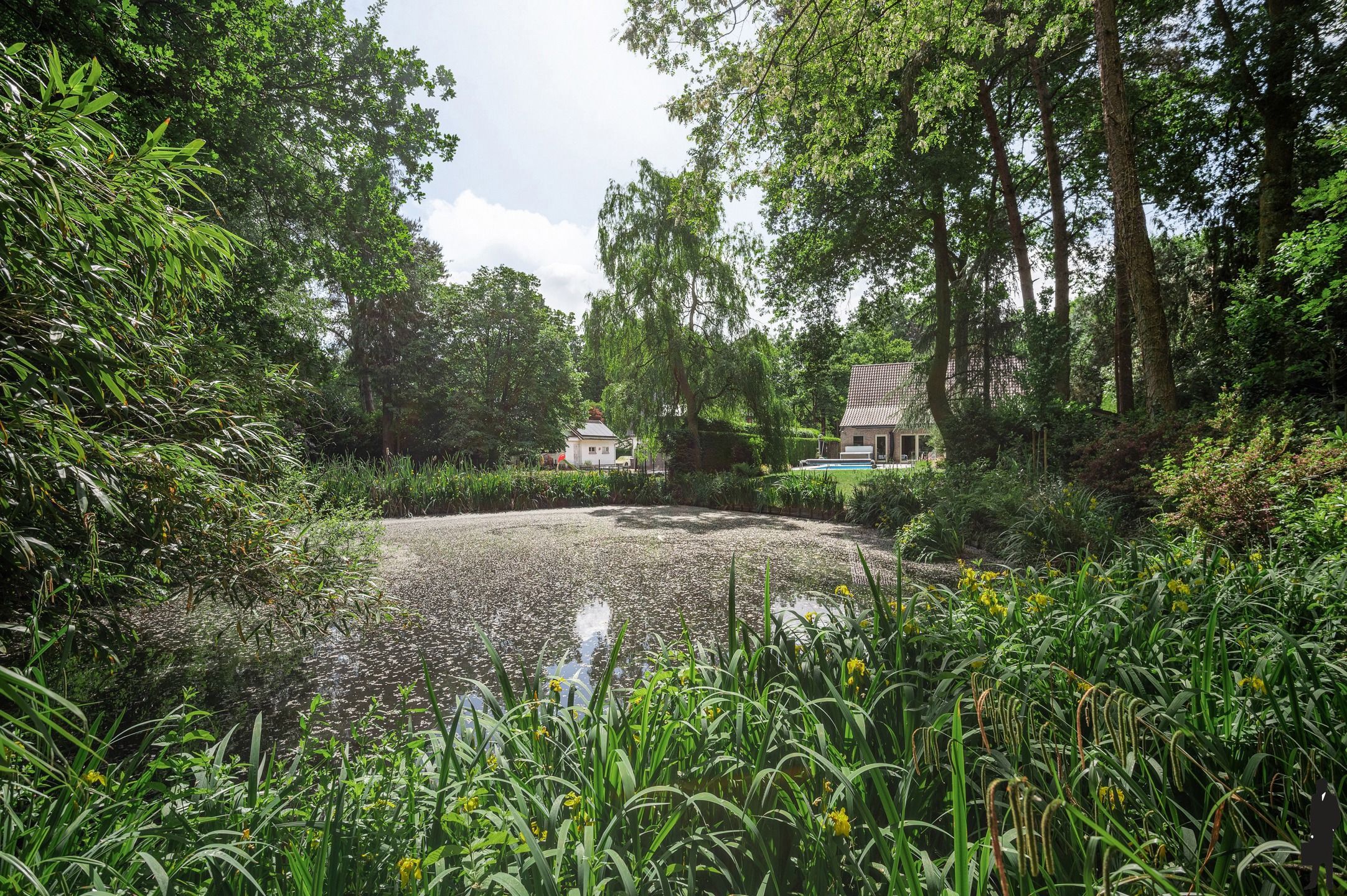 Stijlvol gerenoveerde villa met schitterende tuin en verwarmd zwembad foto 30