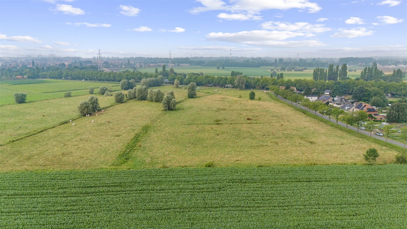 Boerderij met iets meer dan 38ha grond foto 12