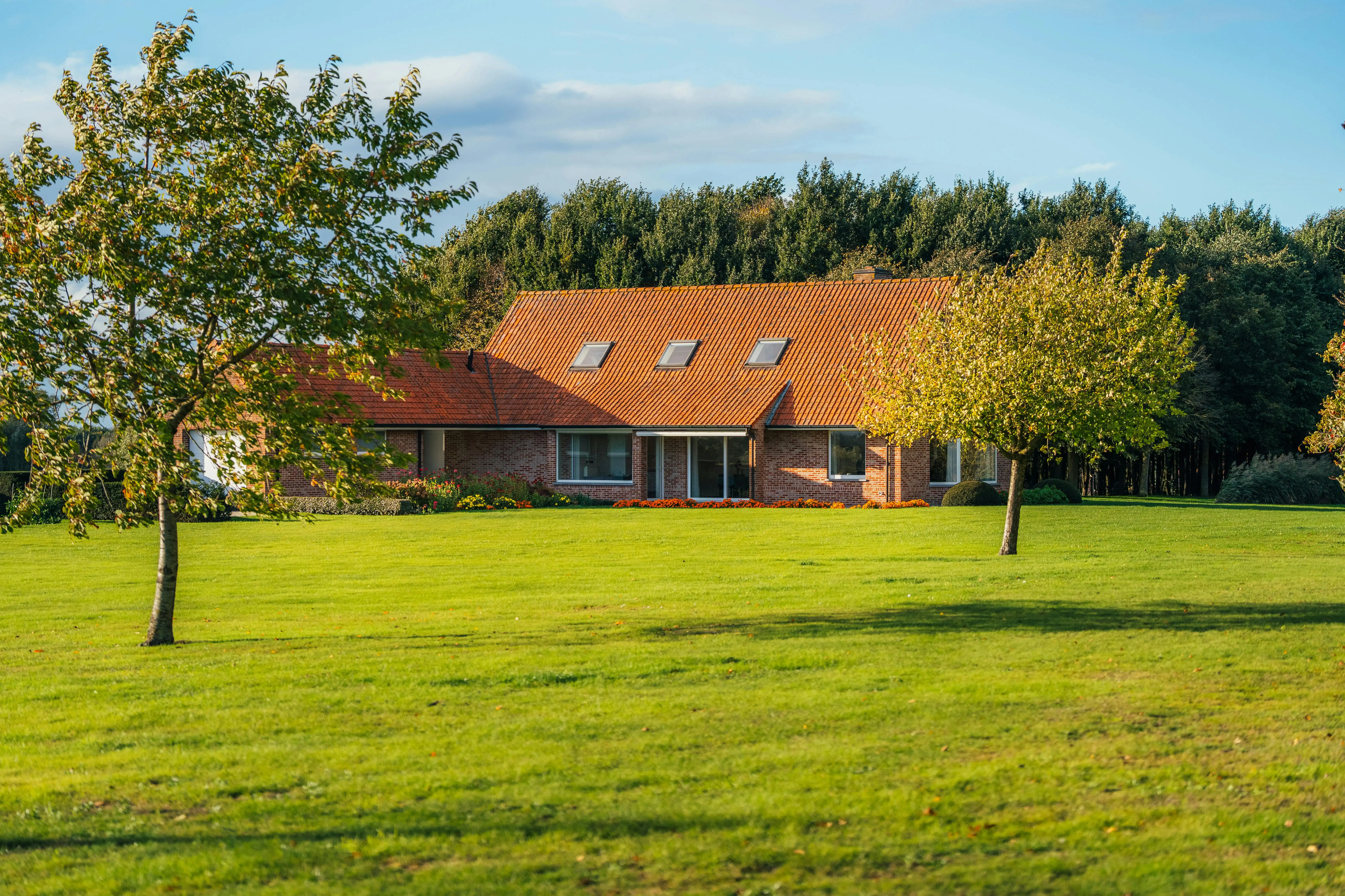 Unieke villa op 2,1 ha met 360°-uitzicht en eigen bos foto 35