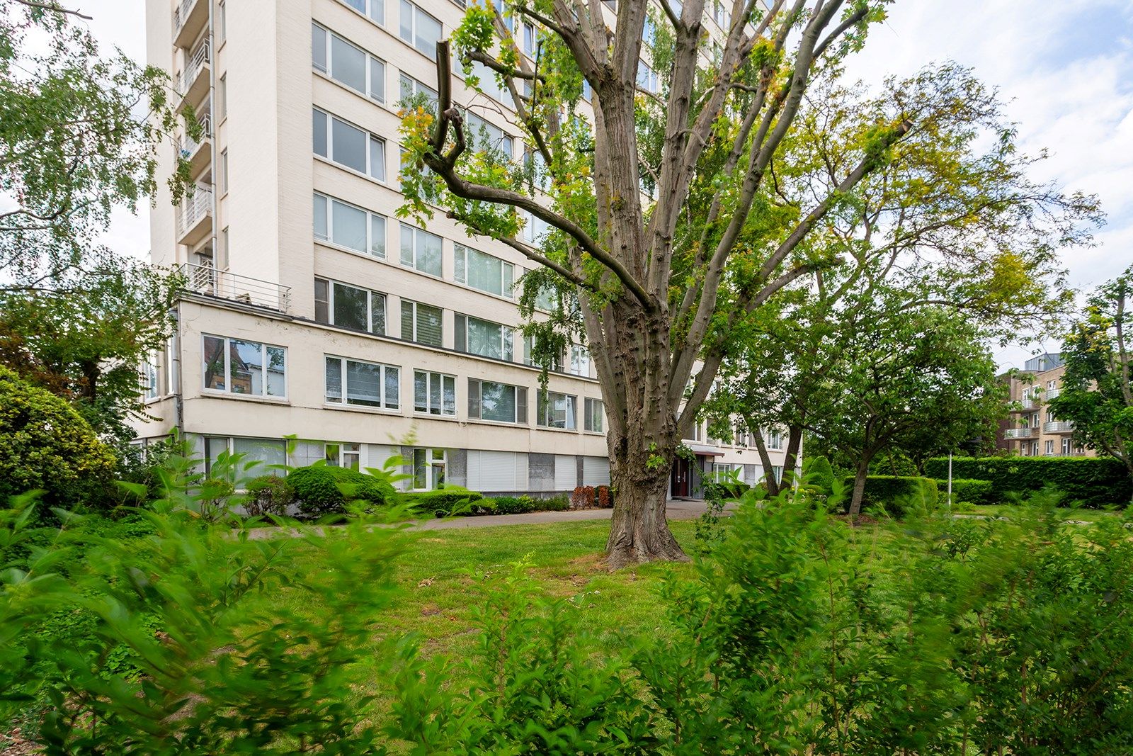 ()=>{if(producerUpdateValueVersion(node),producerAccessed(node),node.value===ERRORED)throw node.error;return node.value} Kruishofstraat 142 -/031 - 2020 Antwerpen