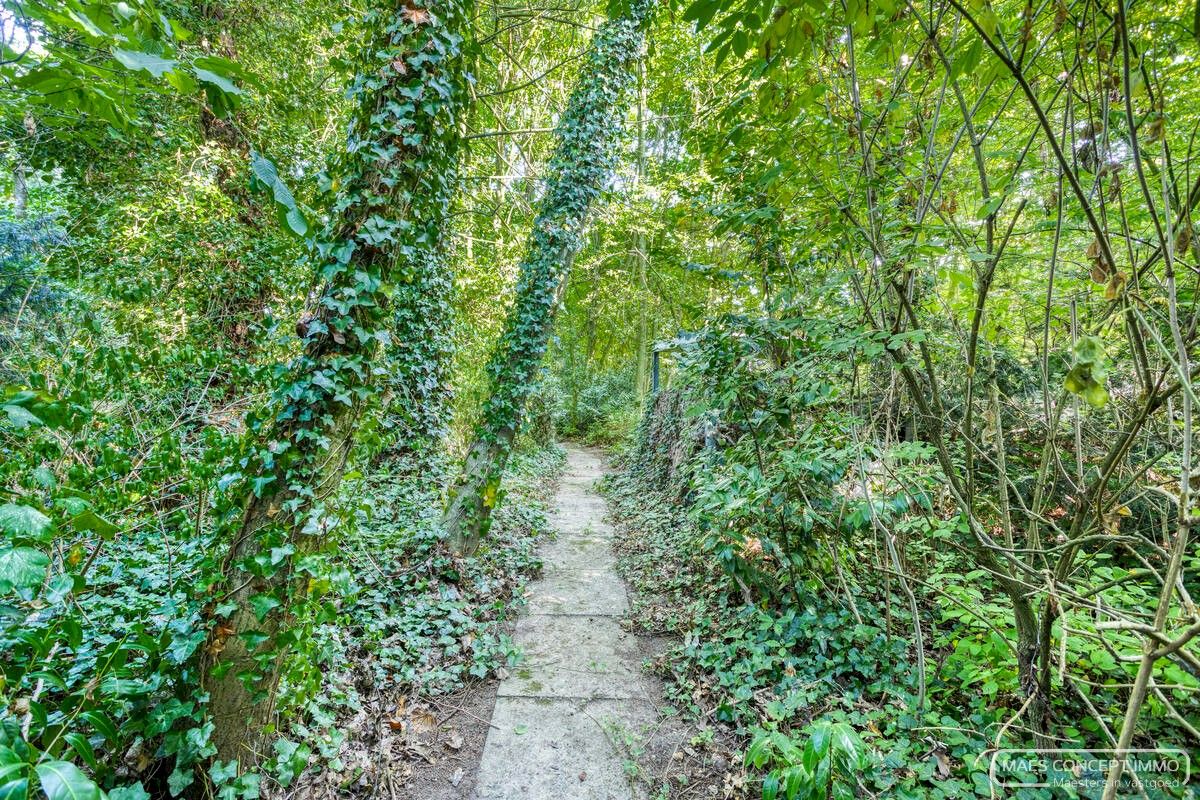 Authentieke hoeve te koop in Anzegem – omringd door 1,6 hectare groen foto 39