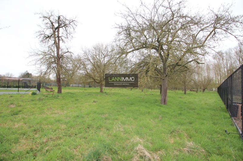 Projectgrond met boomgaard foto 2