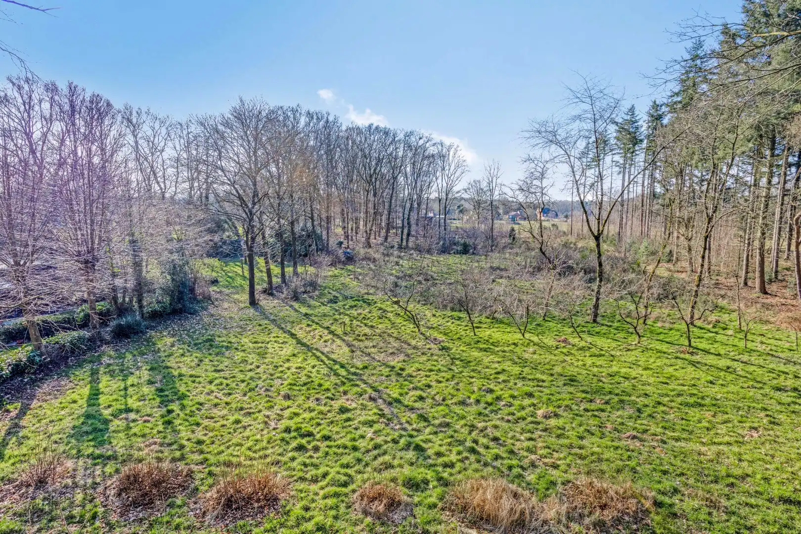 Unieke woonst op 13 hectare: rust, natuur en eindeloze mogelijkheden! foto 14