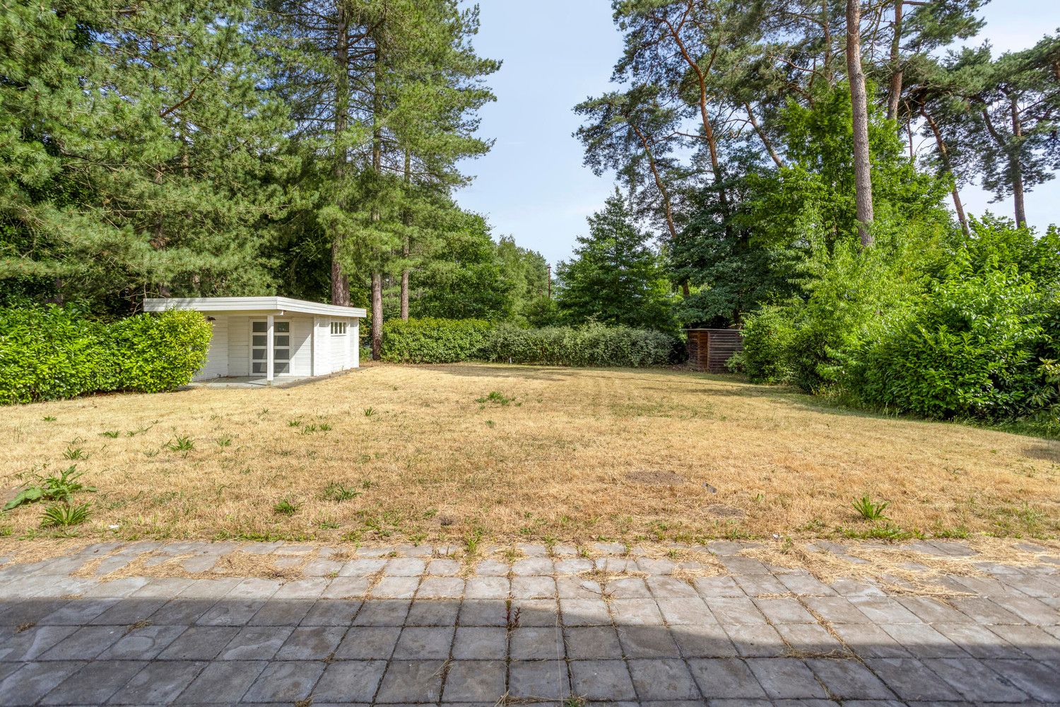 ENERGIEZUINIGE, INSTAPKLARE VILLA, GRENZEND AAN DE BOSSEN VAN AVERBODE! foto 14