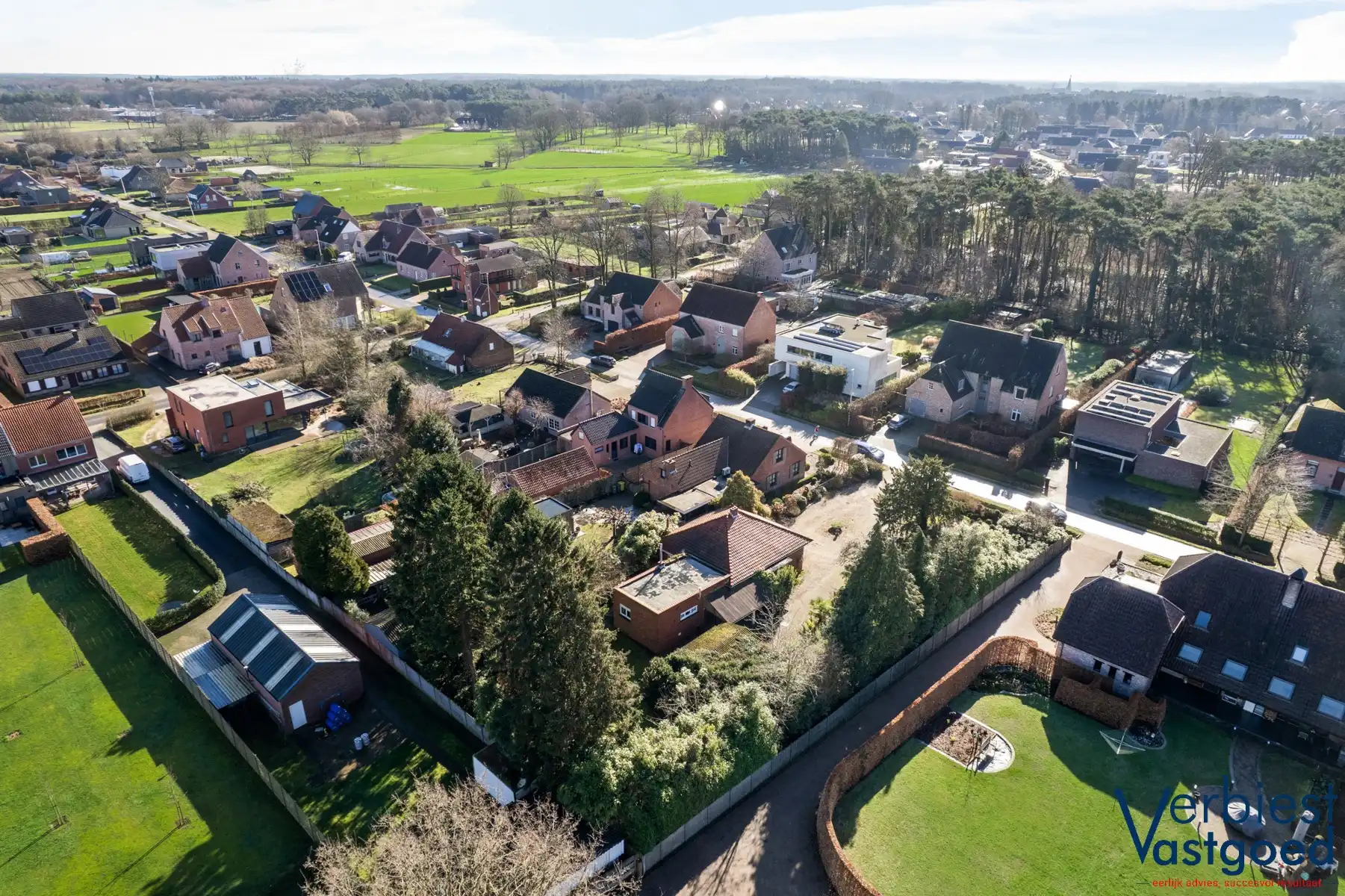 Renovatieproject op uitzonderlijk perceel van 1.577 m² foto 5