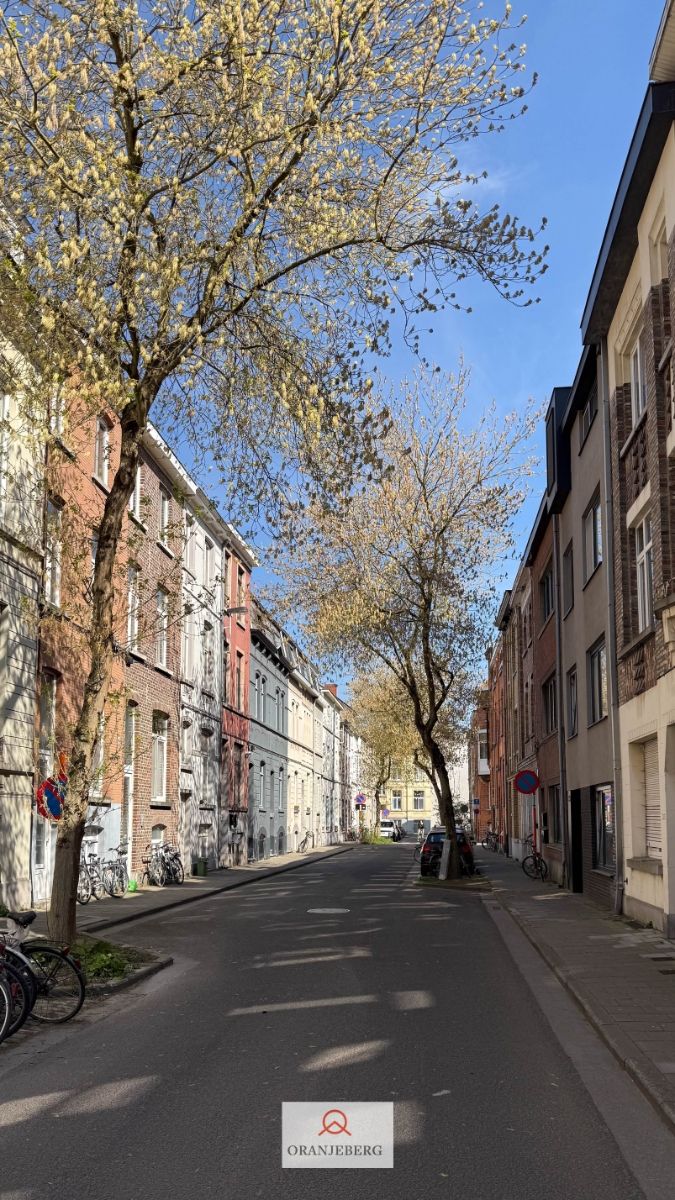Gerenoveerde lichtrijke kamer te koop nabij Gent-centrum foto 5