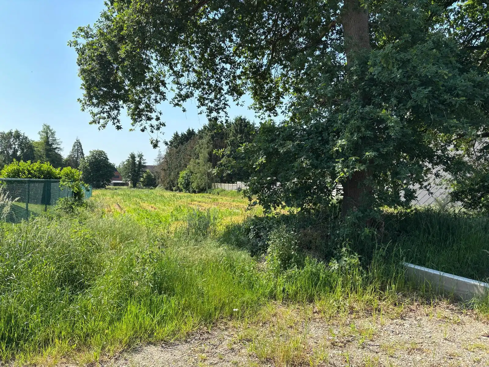 Bouwgrond HOB ca. 1279 m² gelegen te Balen, Hulsen foto 2